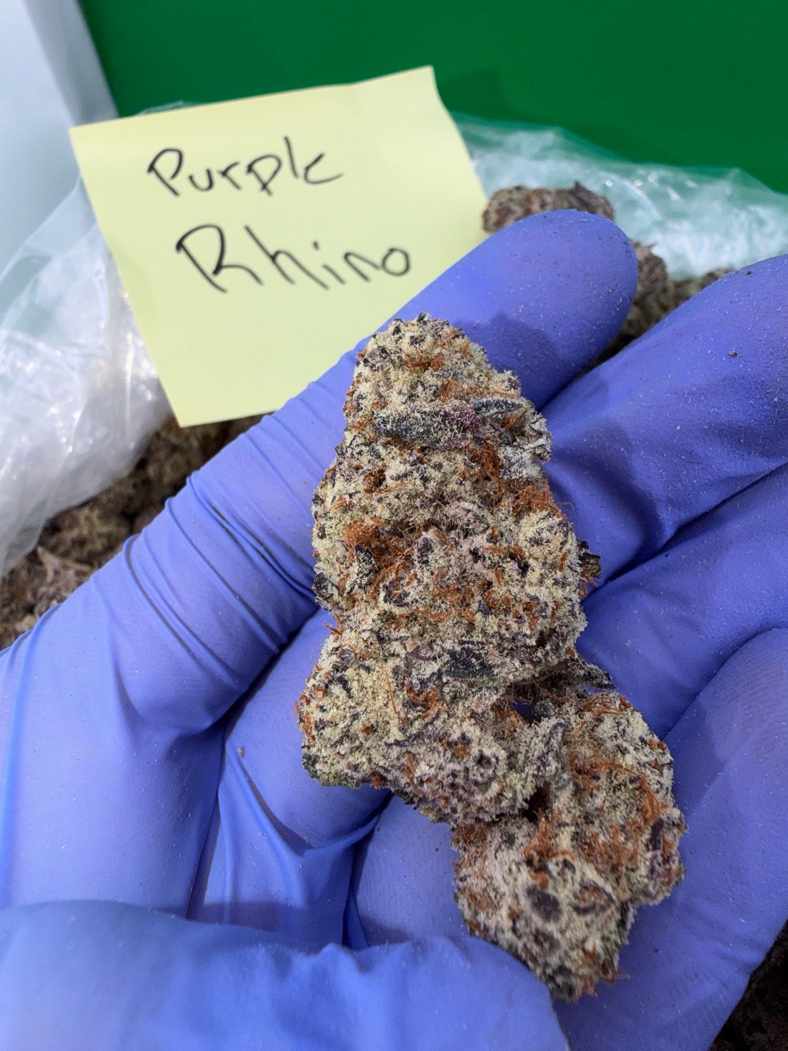 Purple Rhino - Damn Good | Legal Cannabis