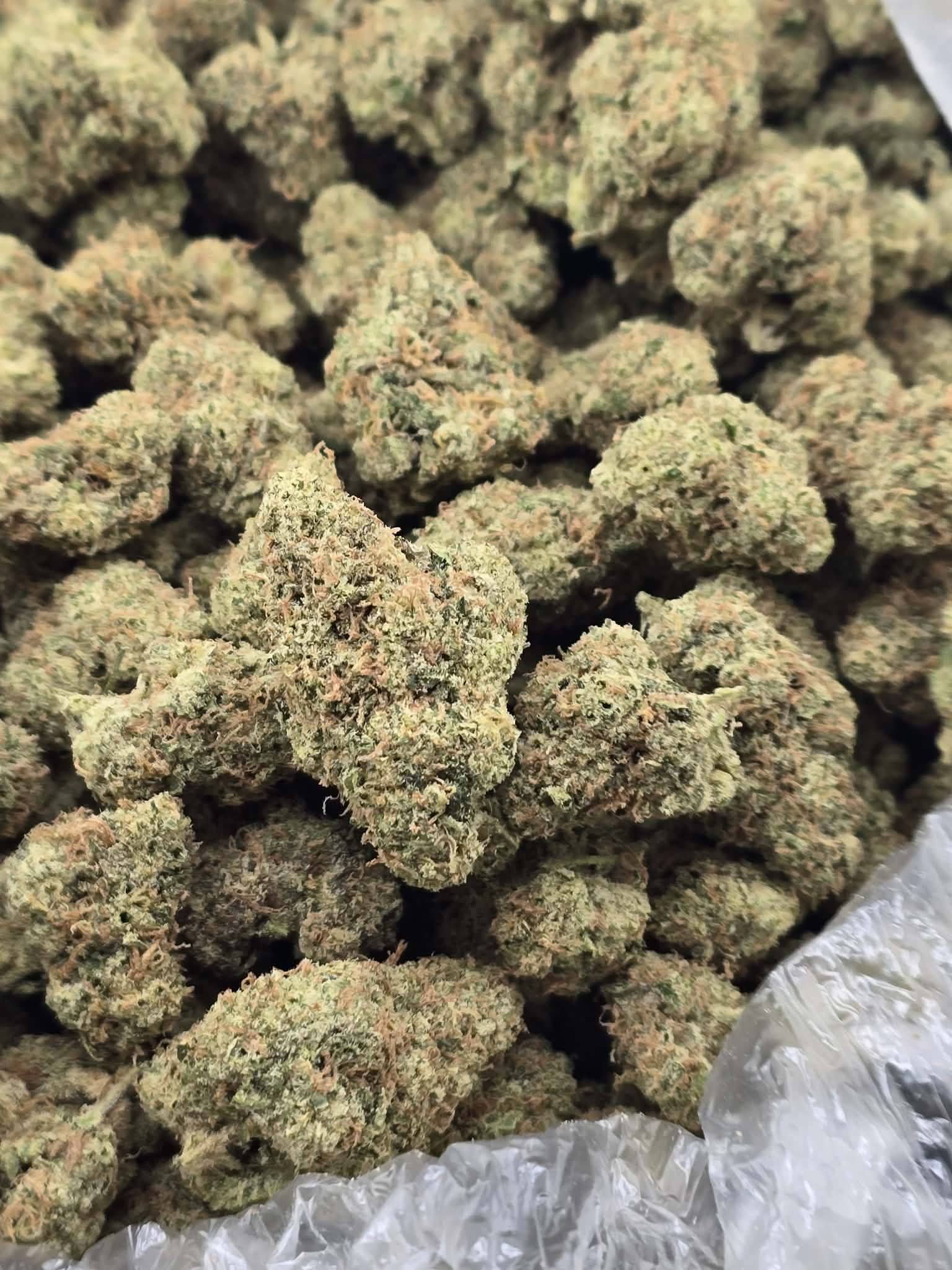 Lemon Lime Haze - Damn Good | Legal Cannabis
