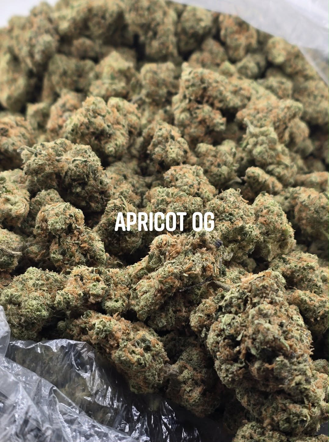 Apricot OG - Damn Good | Legal Cannabis