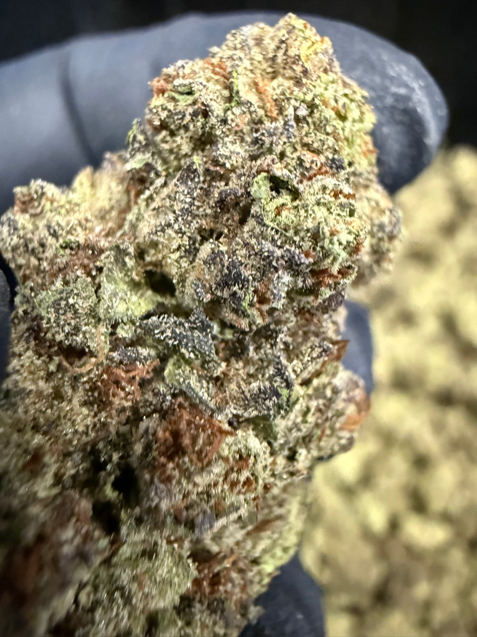 Cherry Sakura - Damn Good | Legal Cannabis