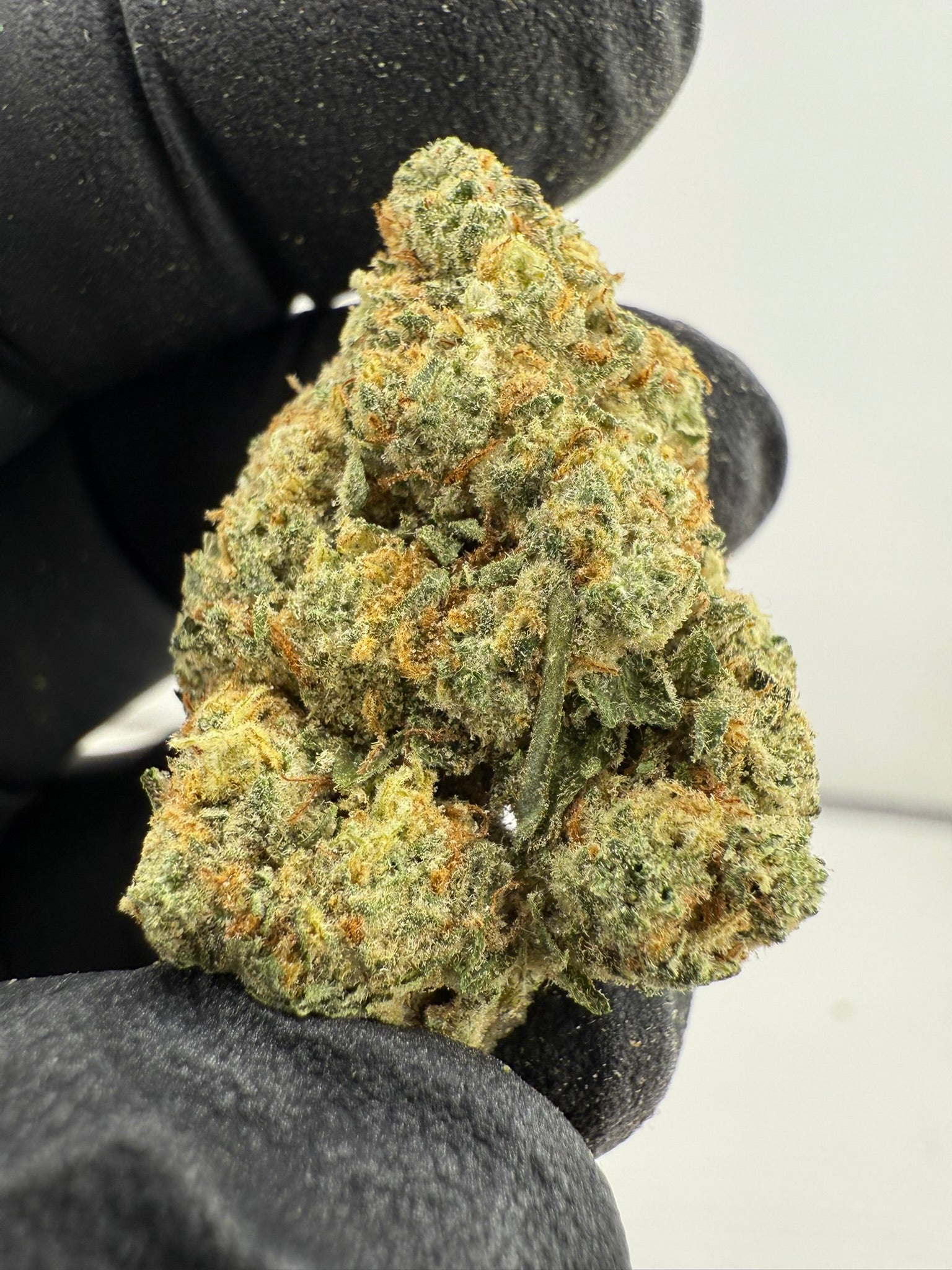 Purple Punch - Damn Good | Legal Cannabis