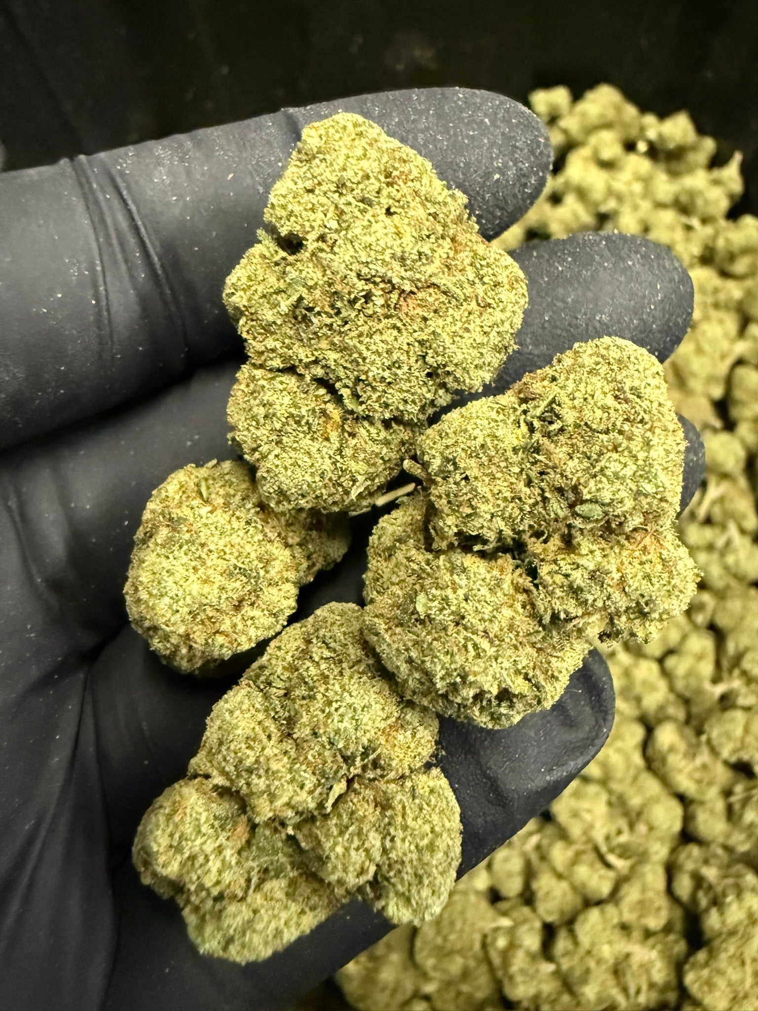 Yeet - Damn Good | Legal Cannabis