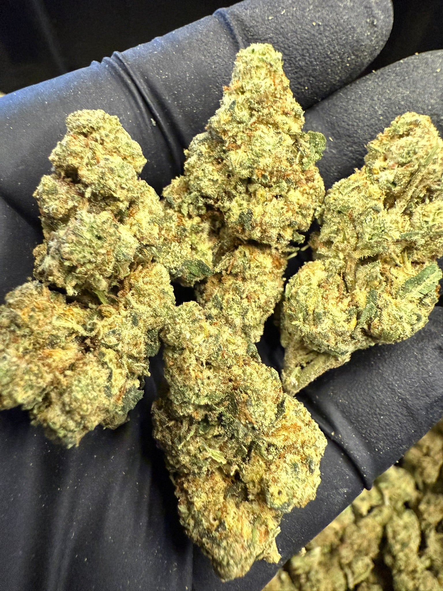 Cadillac Rainbow - Damn Good | Legal Cannabis