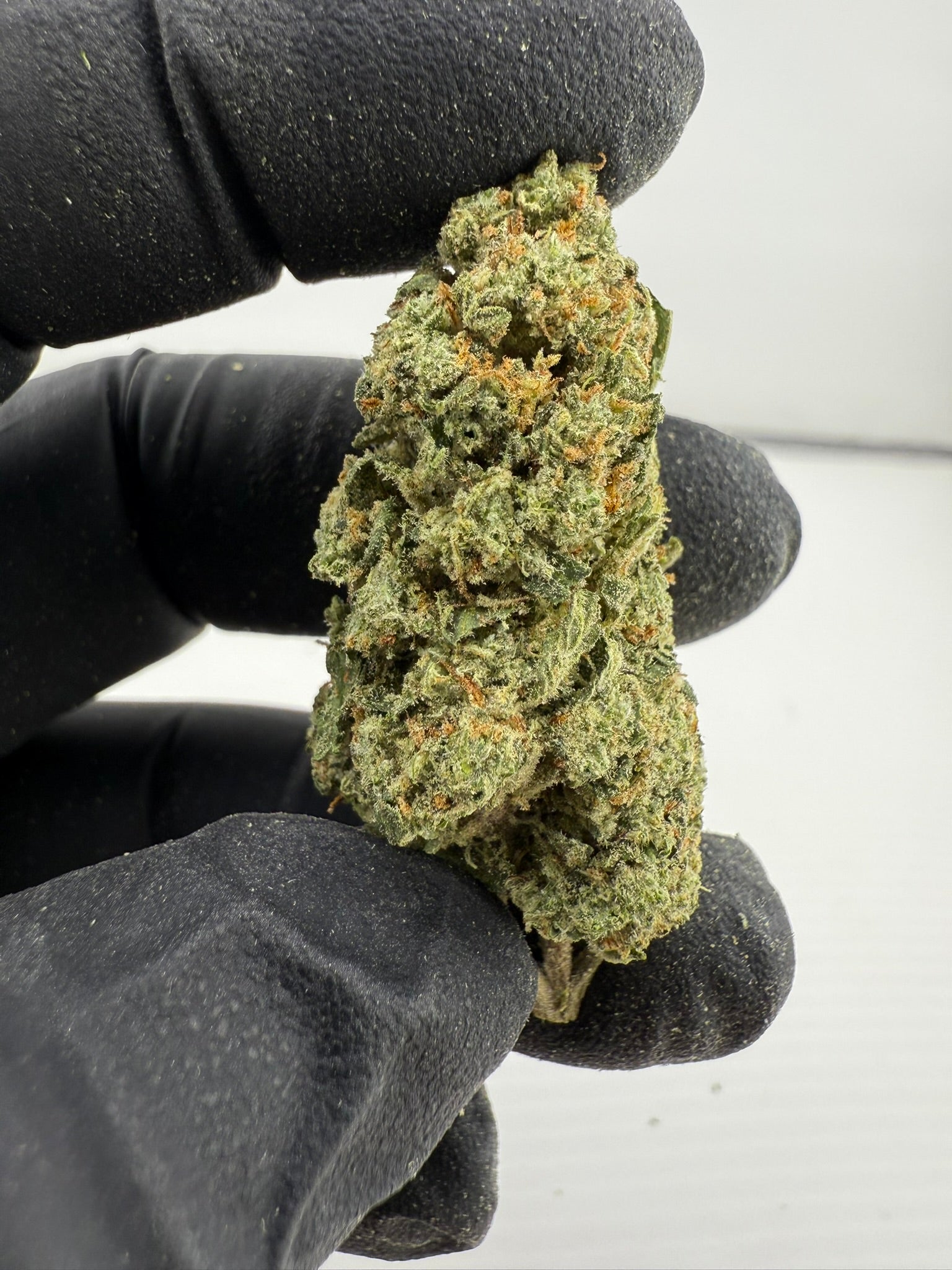 Gelato 25 x Dosidos - Damn Good | Legal Cannabis