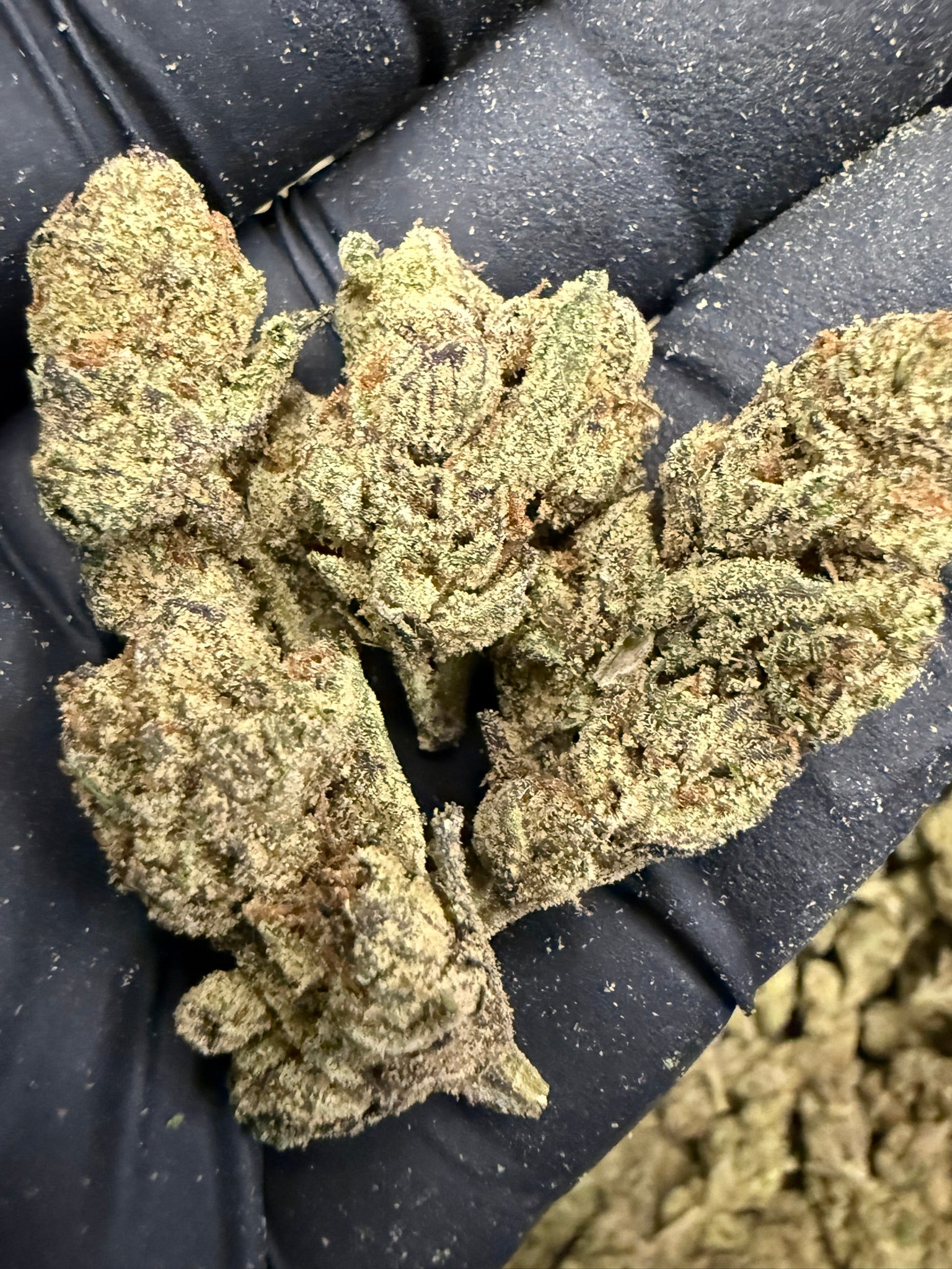 Frosted Runts Smalls - Damn Good | Legal Cannabis