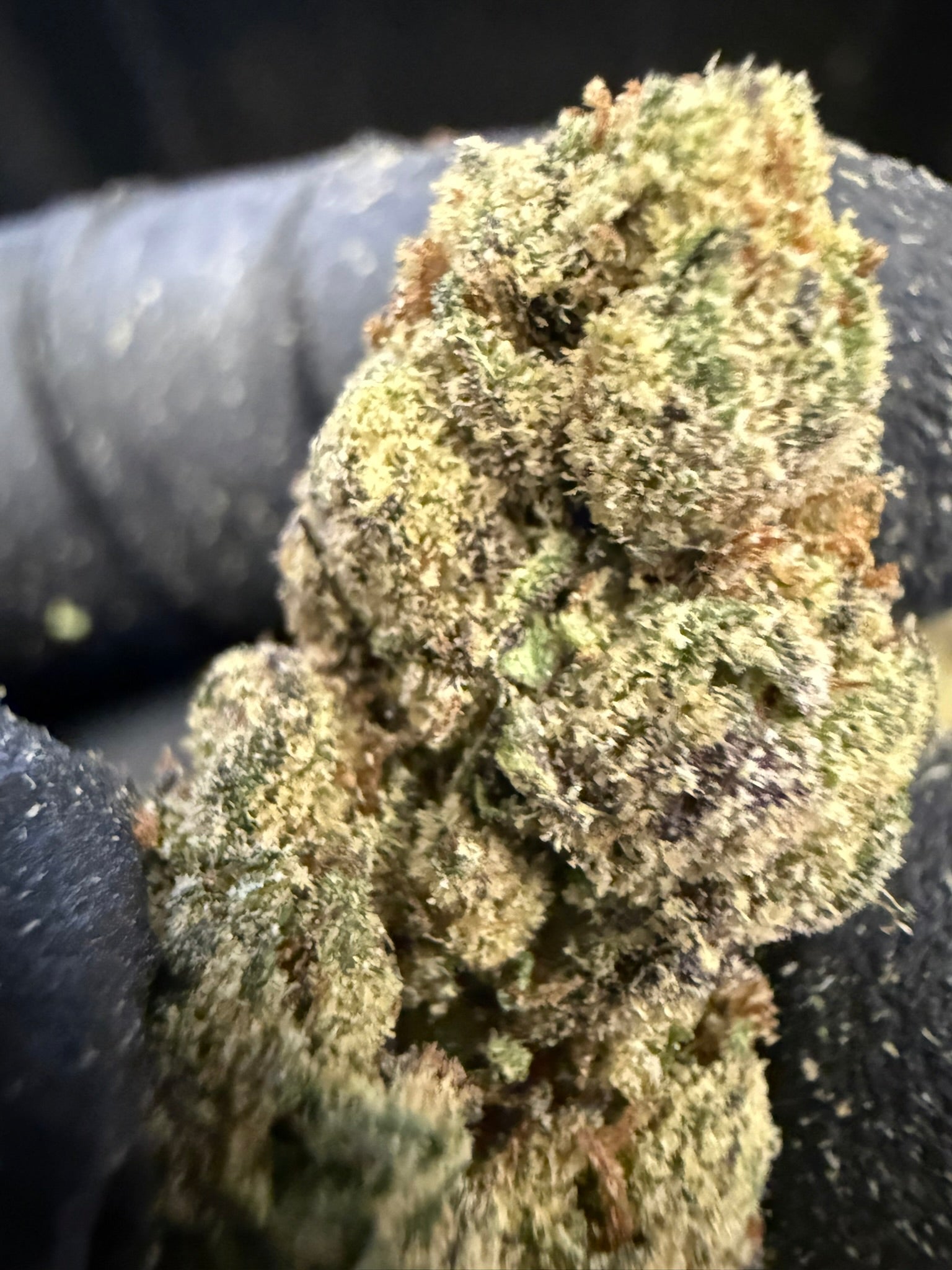 Frosted Runts Smalls - Damn Good | Legal Cannabis