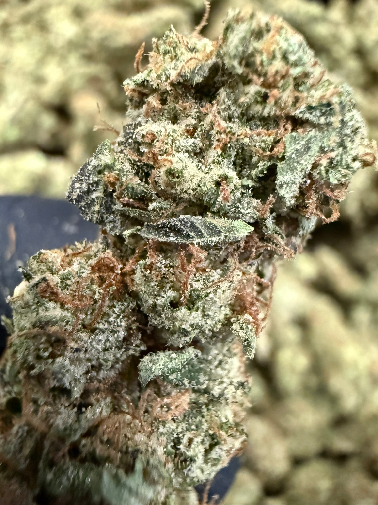 Amber Rose - Damn Good | Legal Cannabis