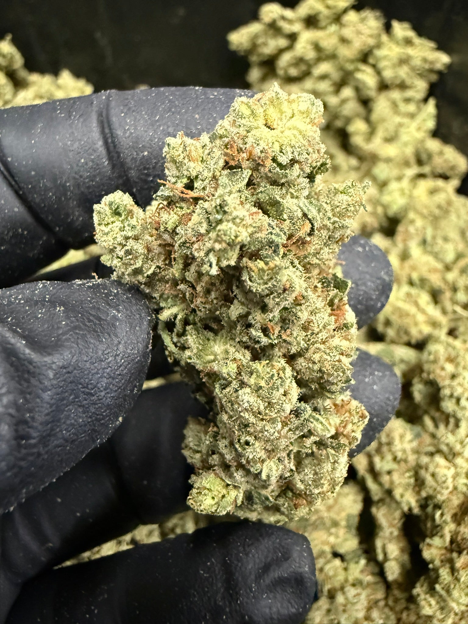 Original Glue - Damn Good | Legal Cannabis