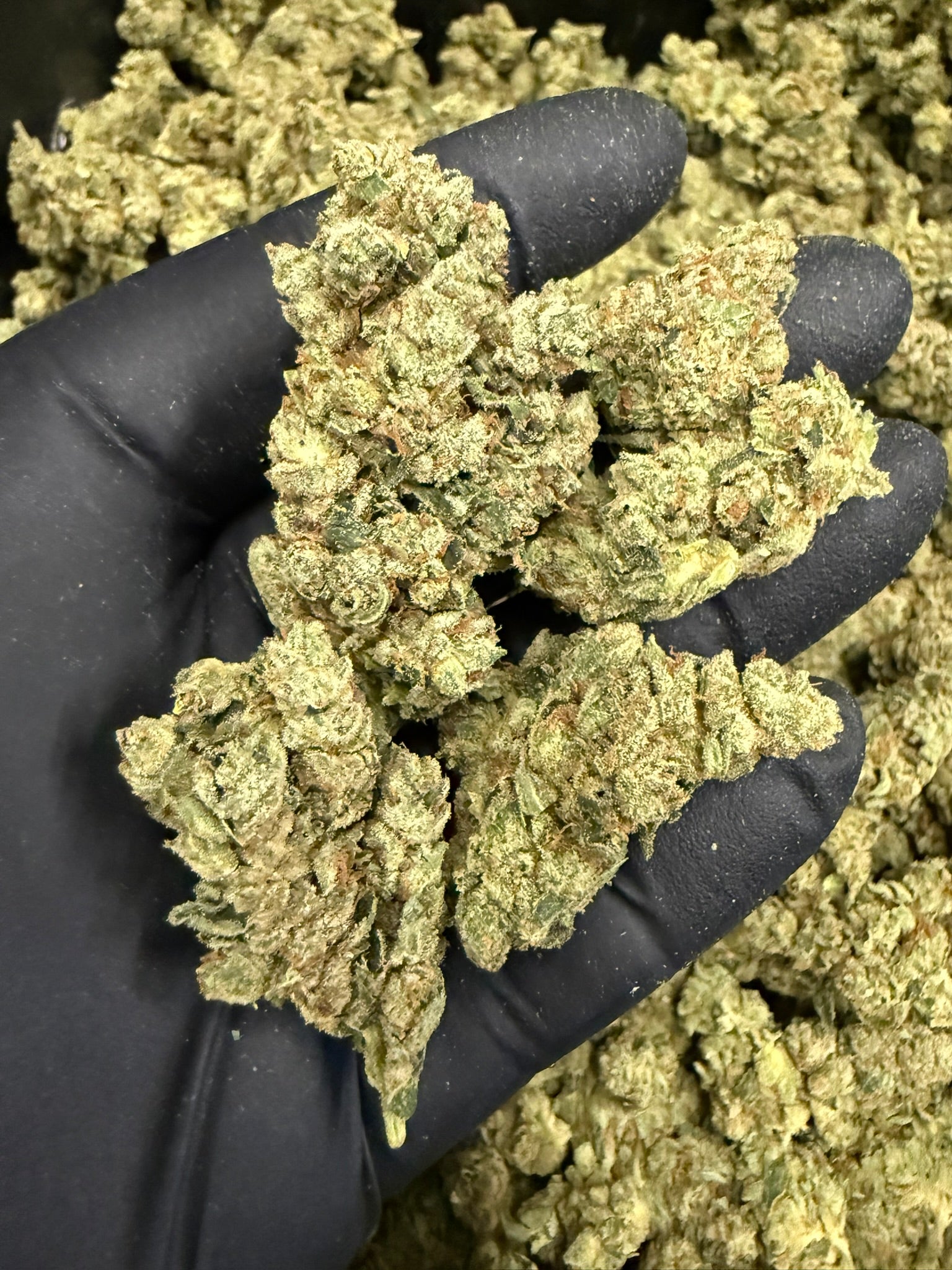 Original Glue - Damn Good | Legal Cannabis