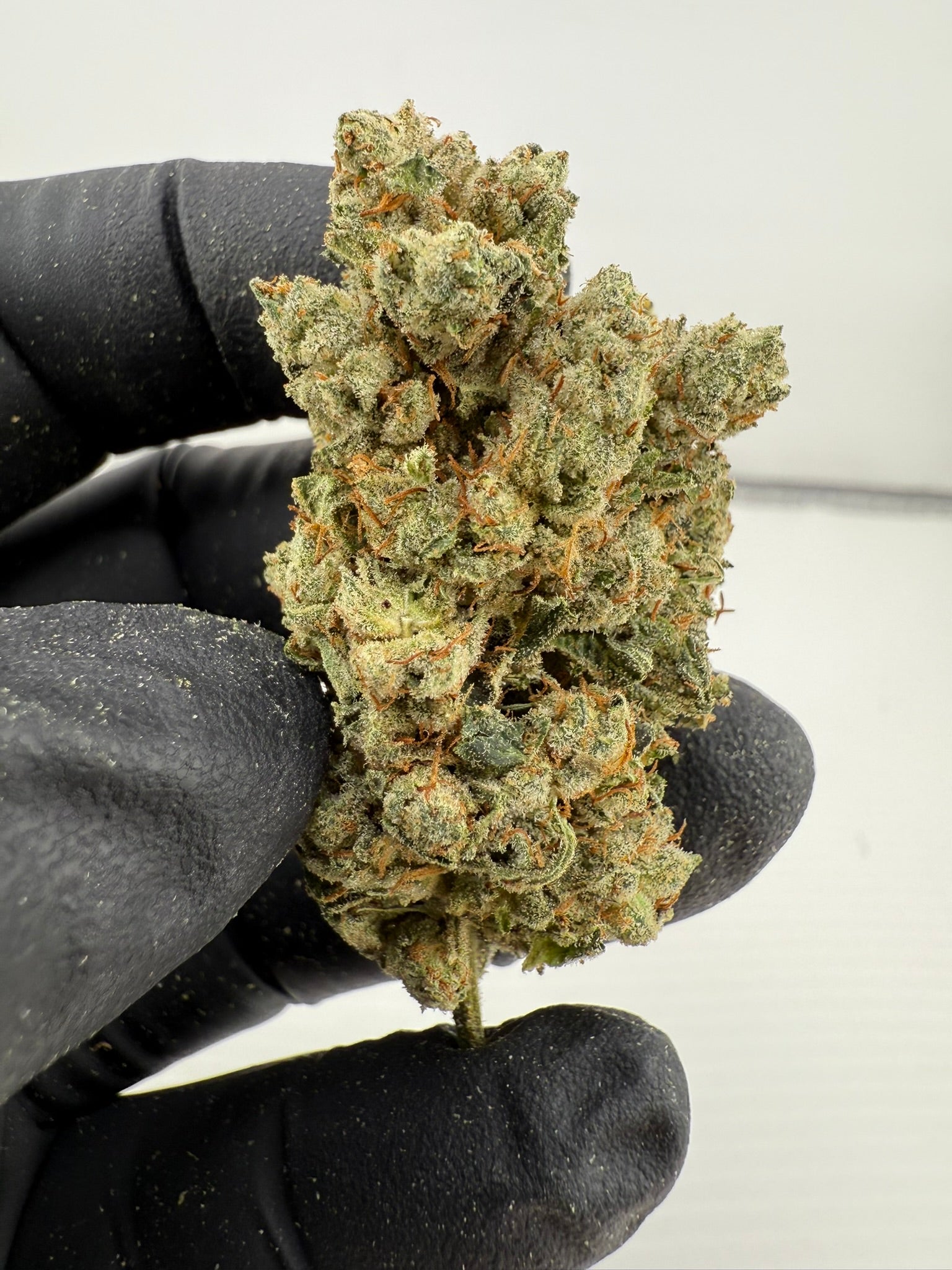 Original Glue - Damn Good | Legal Cannabis