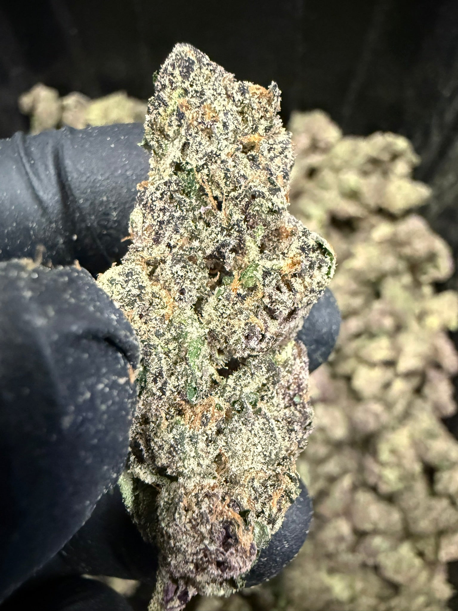 Halle Berry - Damn Good | Legal Cannabis