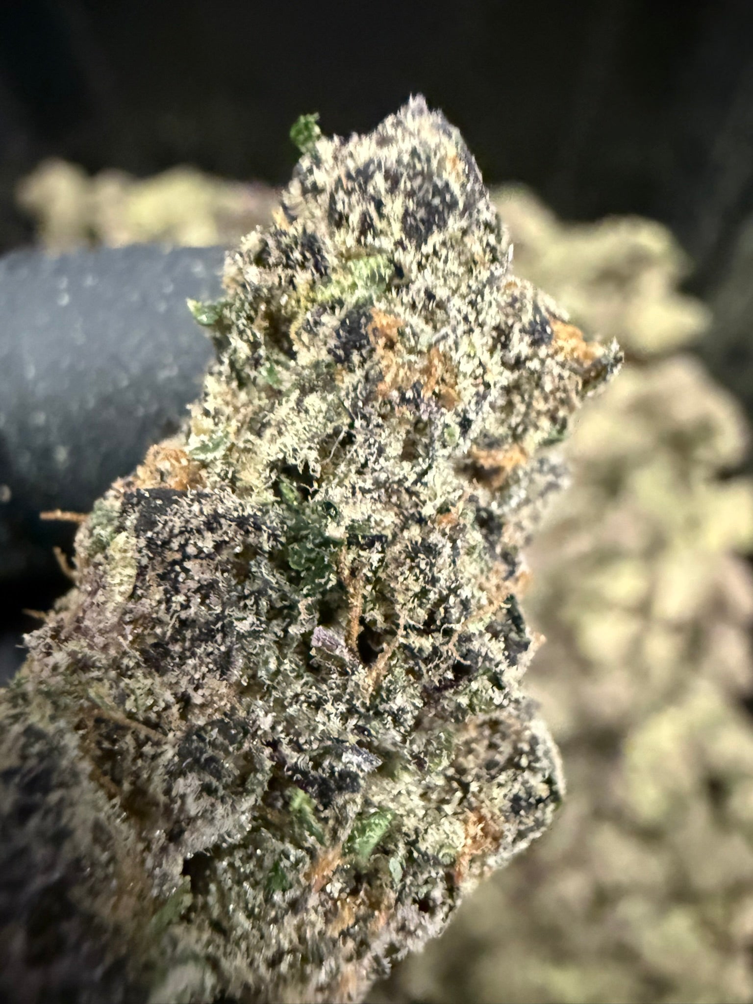 Halle Berry - Damn Good | Legal Cannabis