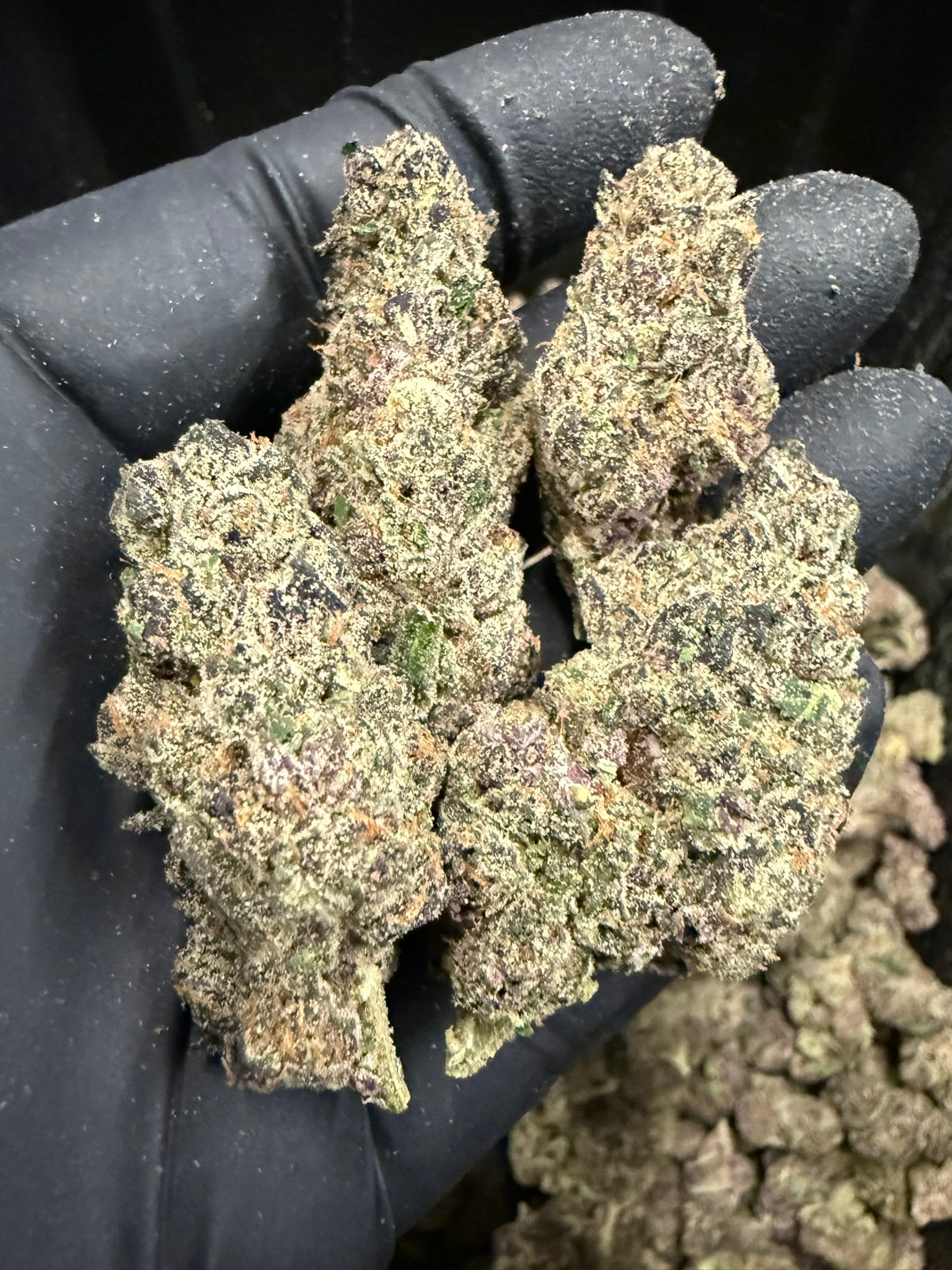 Halle Berry - Damn Good | Legal Cannabis