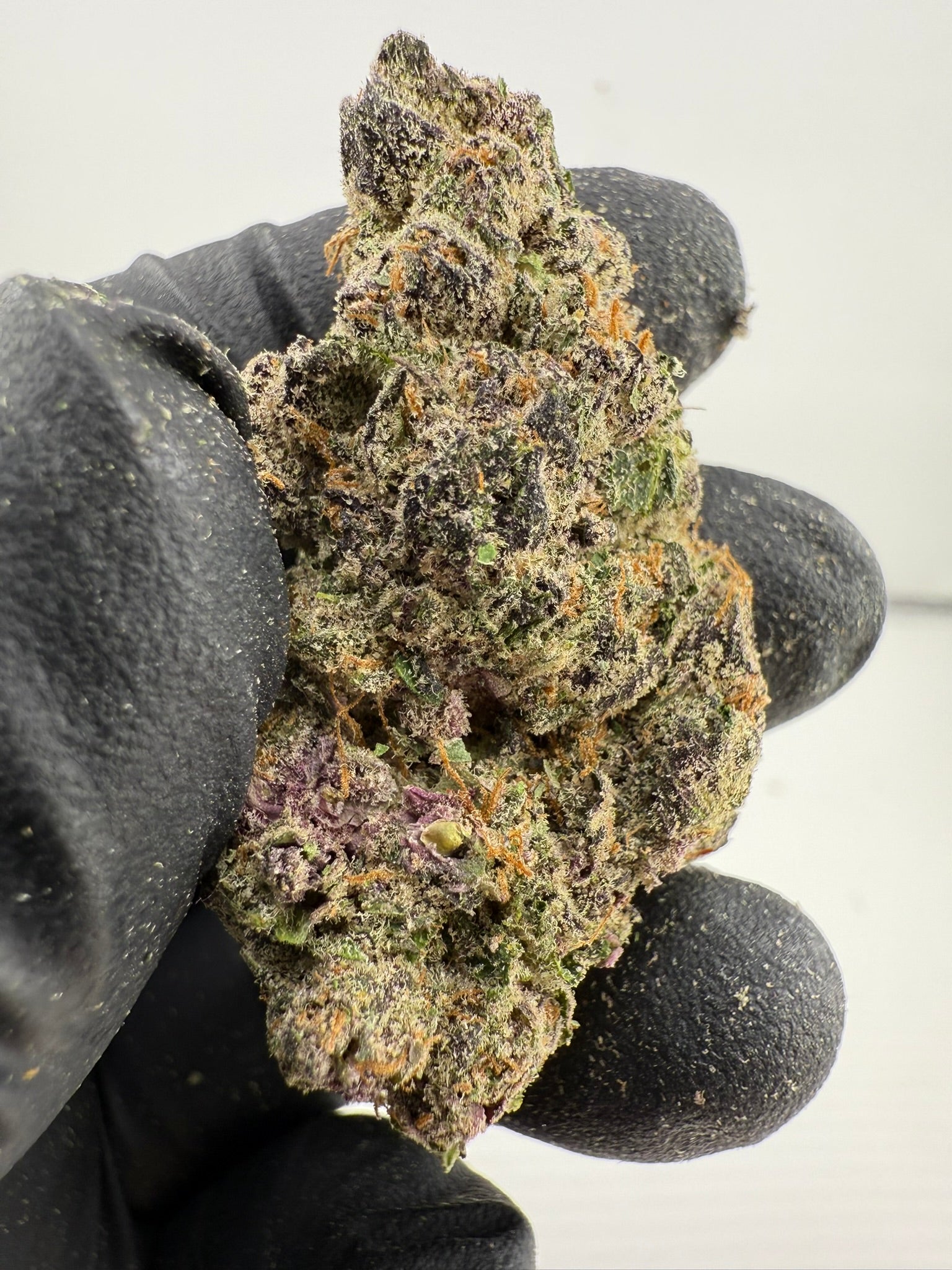 Halle Berry - Damn Good | Legal Cannabis