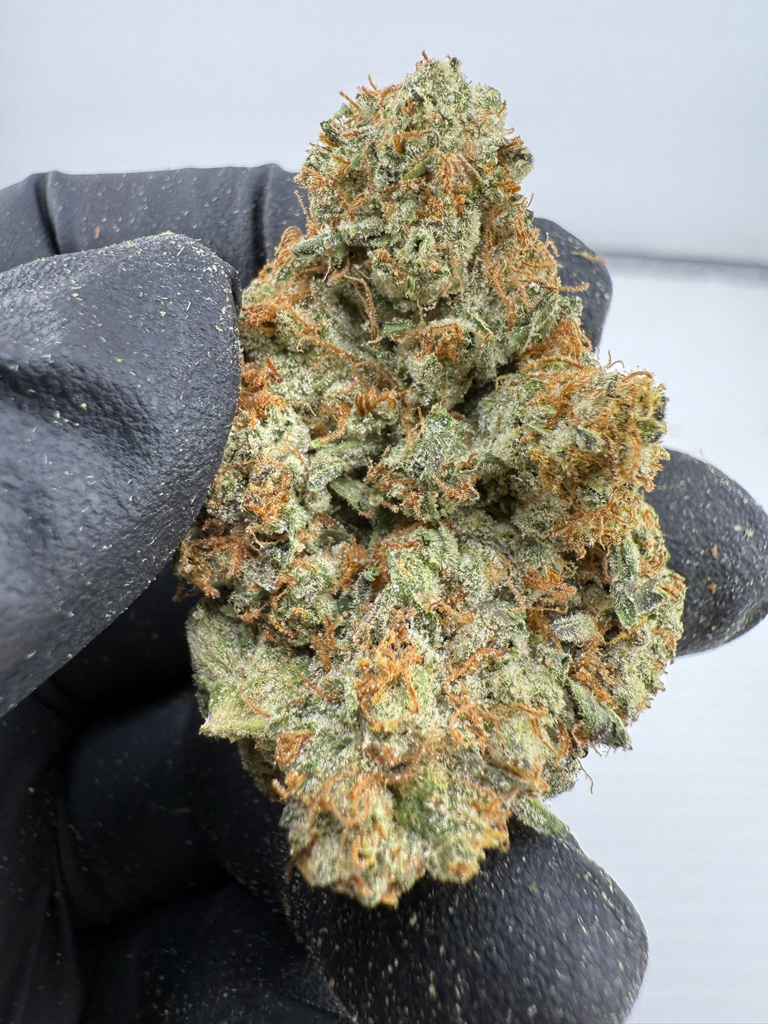 Black Diesel