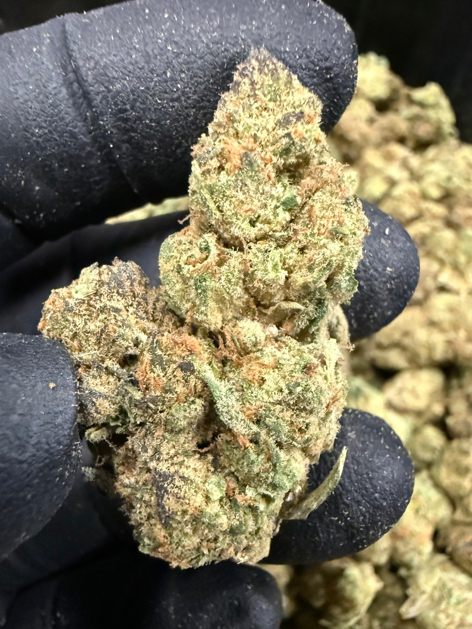 Blue Nerdz - Damn Good | Legal Cannabis