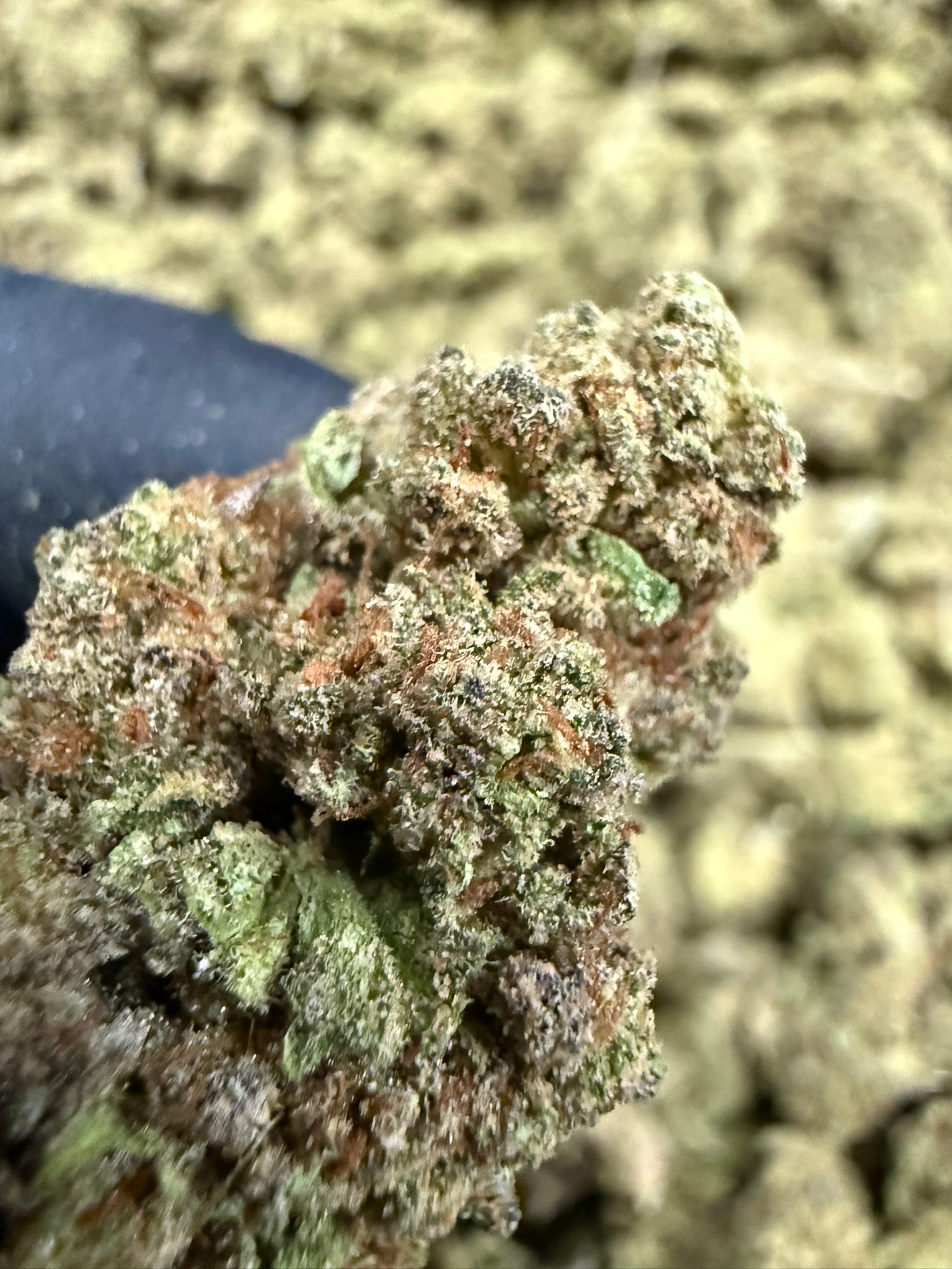 Lemon Punch - Damn Good | Legal Cannabis