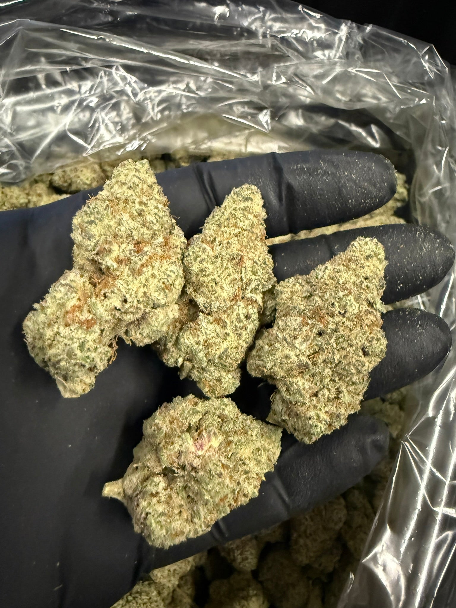 C3PO - Damn Good | Legal Cannabis