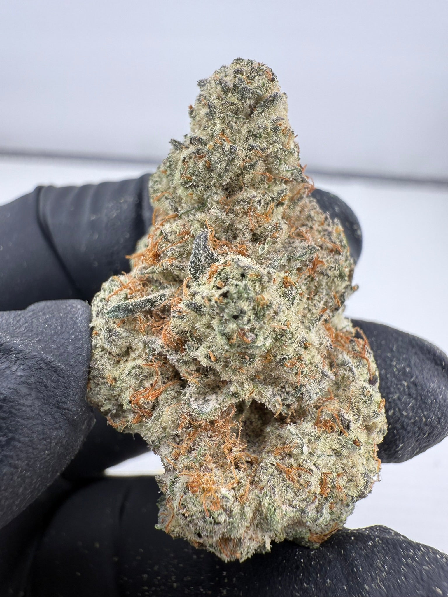 C3PO - Damn Good | Legal Cannabis