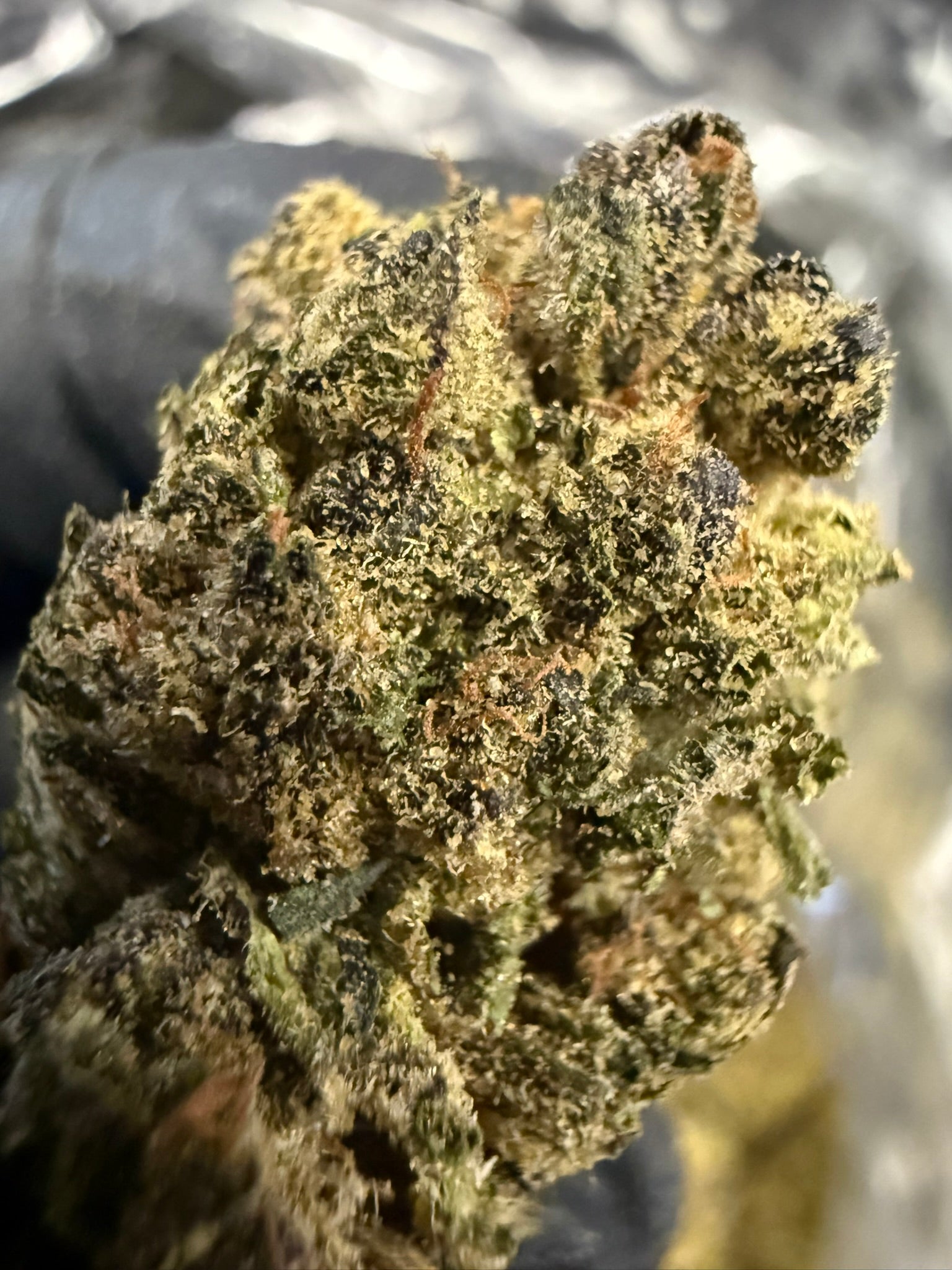 Grape Pie x Blueberry - Damn Good | Legal Cannabis