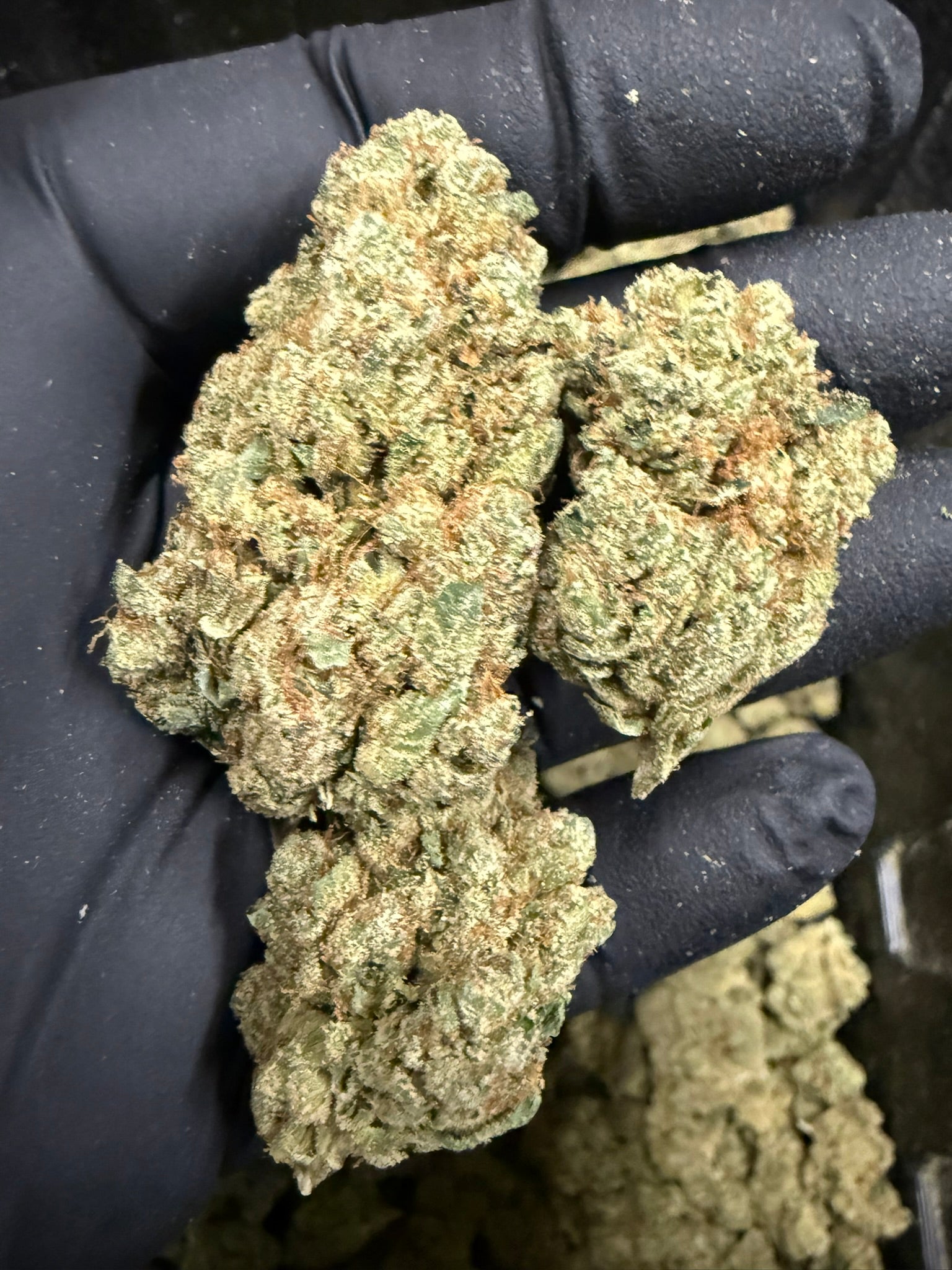 Marathon OG - Damn Good | Legal Cannabis