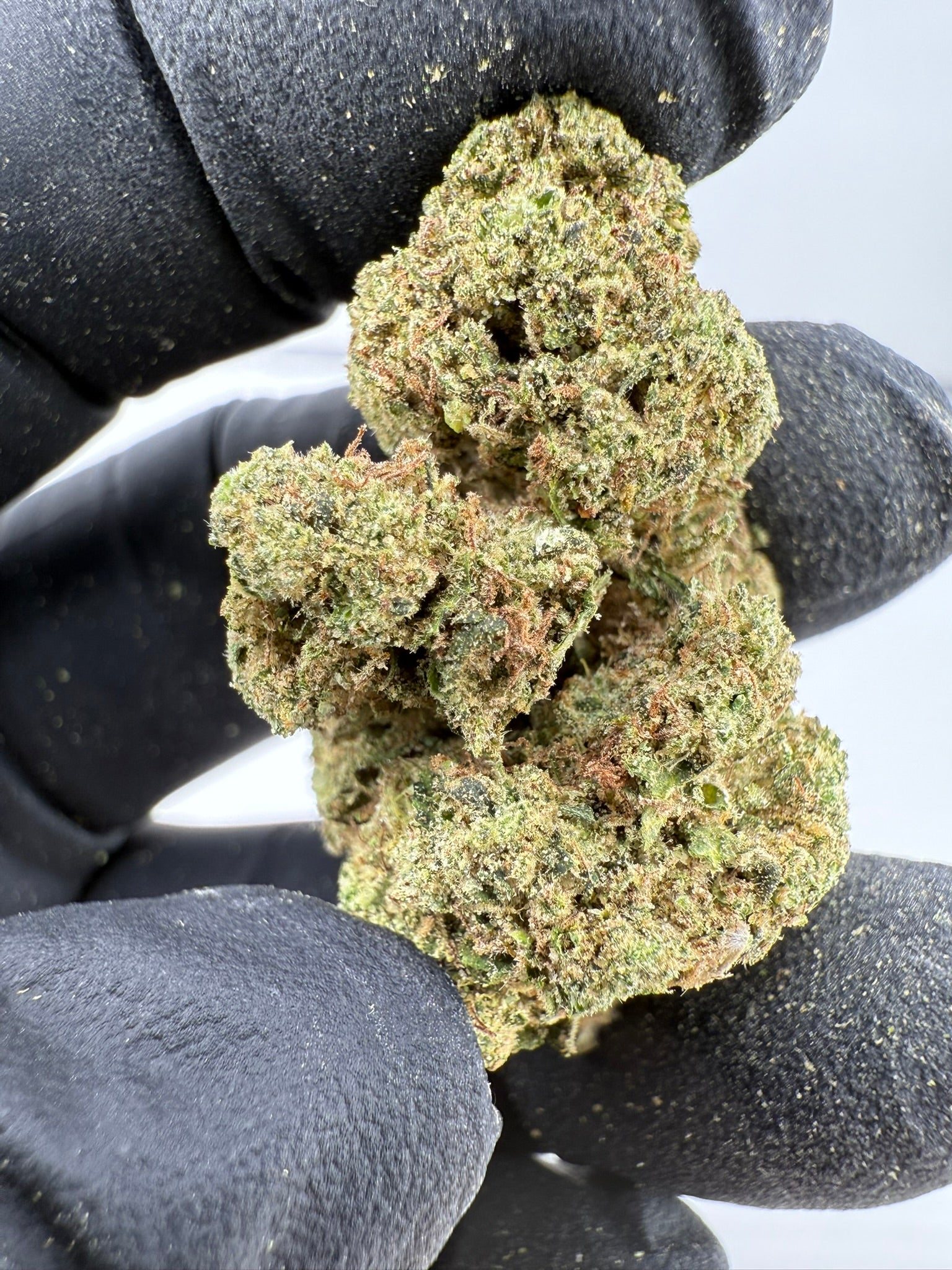 Dirty Girl Runtz Smalls - Damn Good | Legal Cannabis