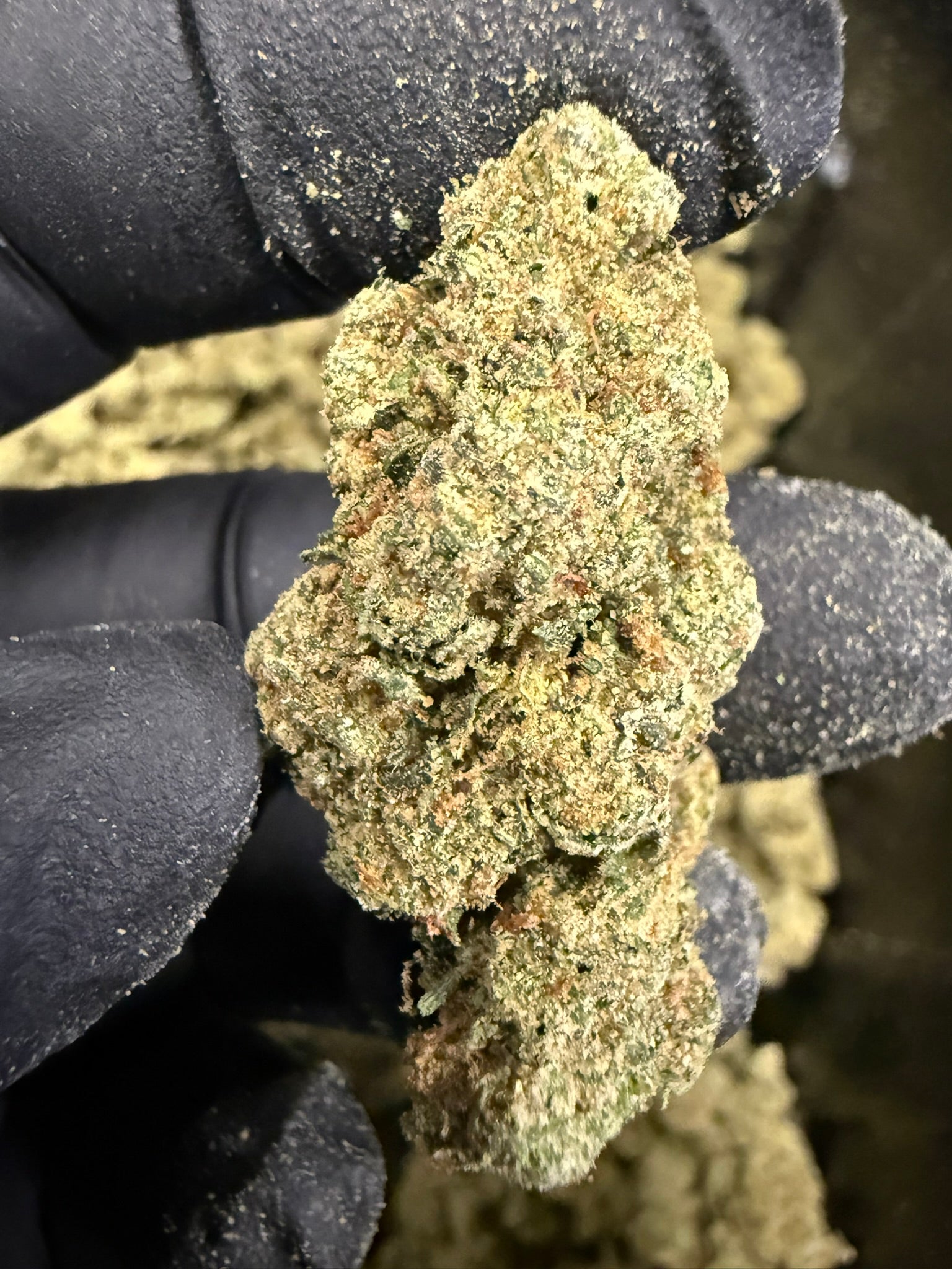 Forbidden Fruit Smalls - Damn Good | Legal Cannabis