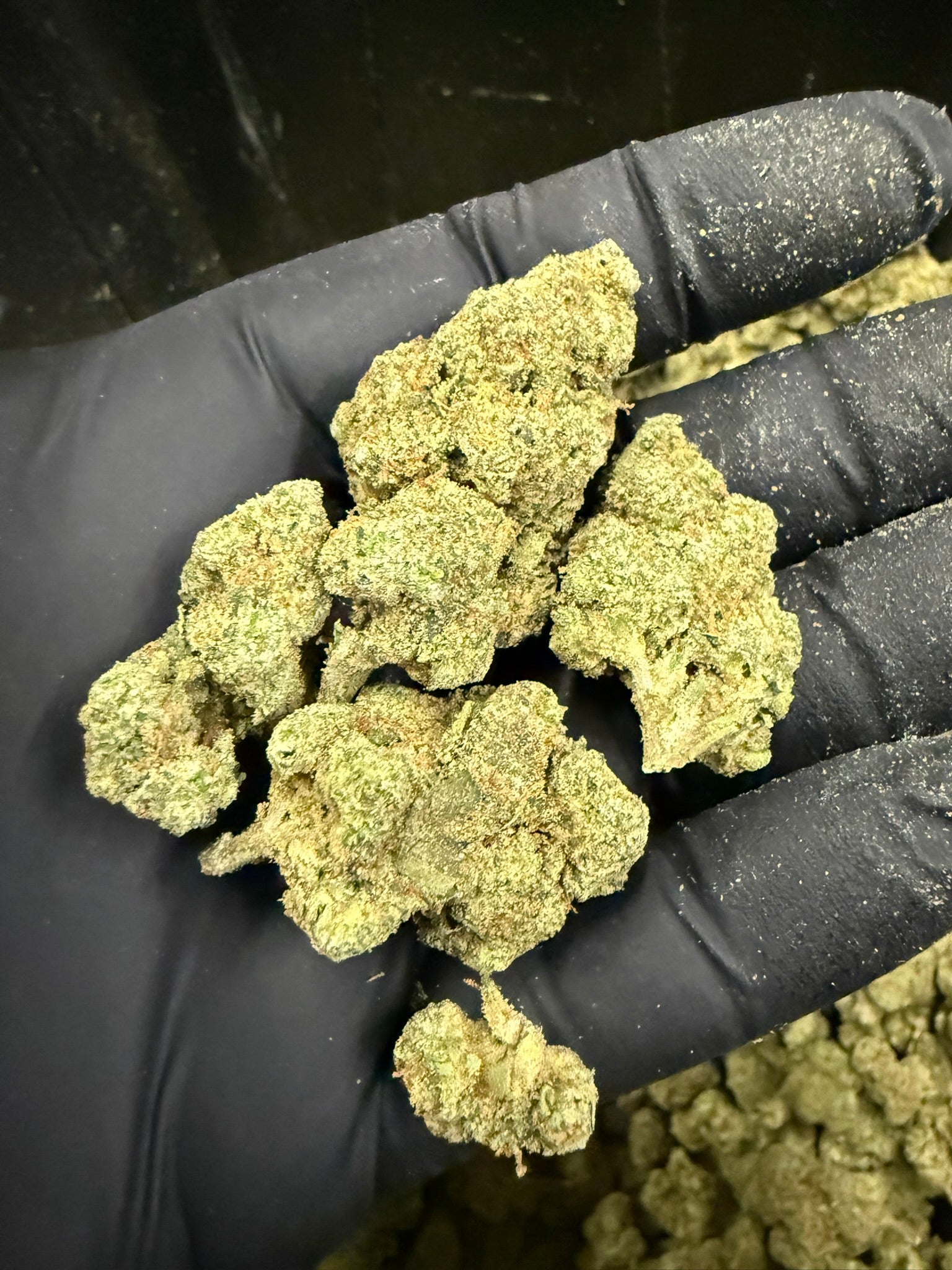Forbidden Fruit Smalls - Damn Good | Legal Cannabis