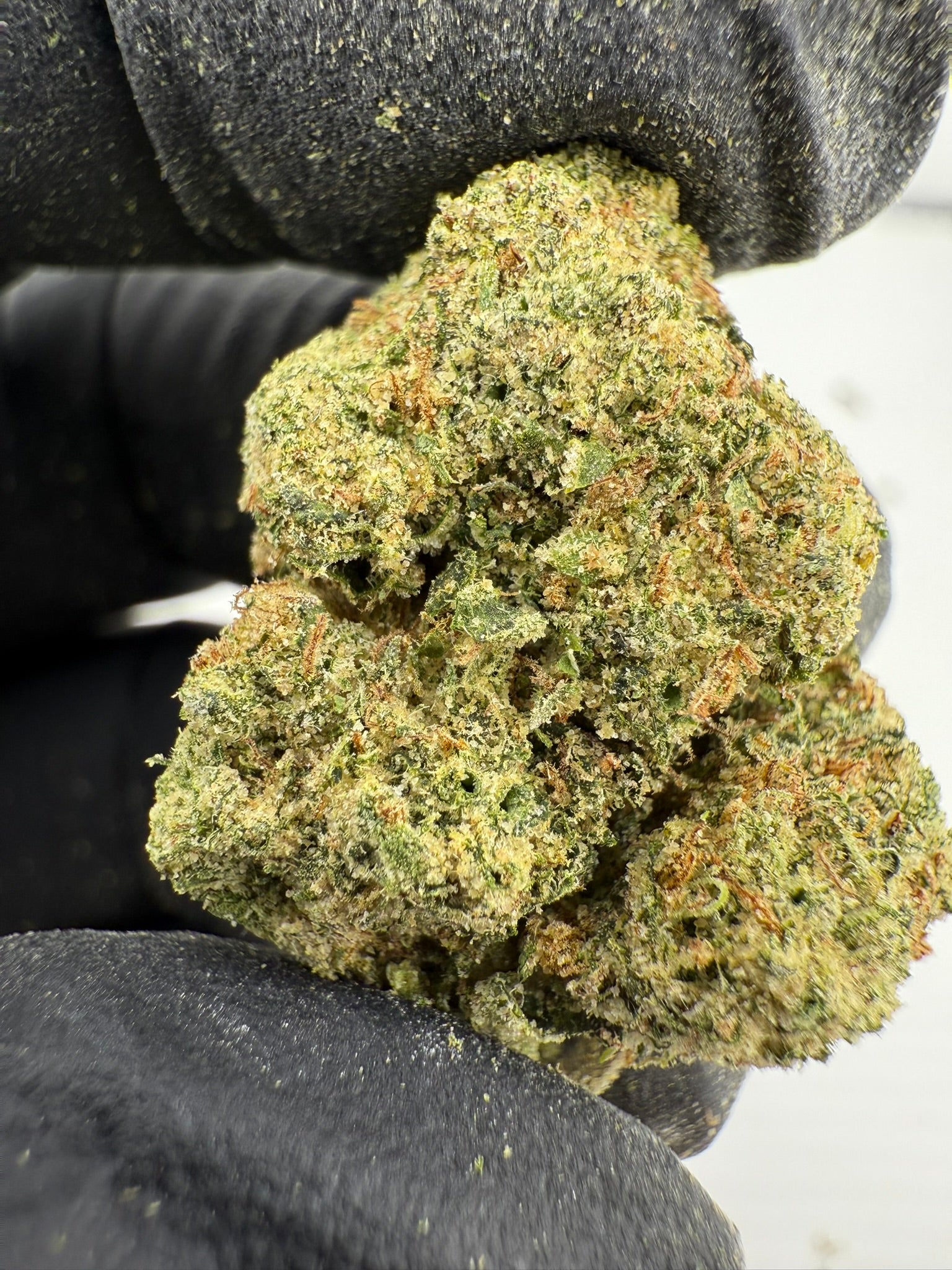 Yellow Zushi Smalls - Damn Good | Legal Cannabis