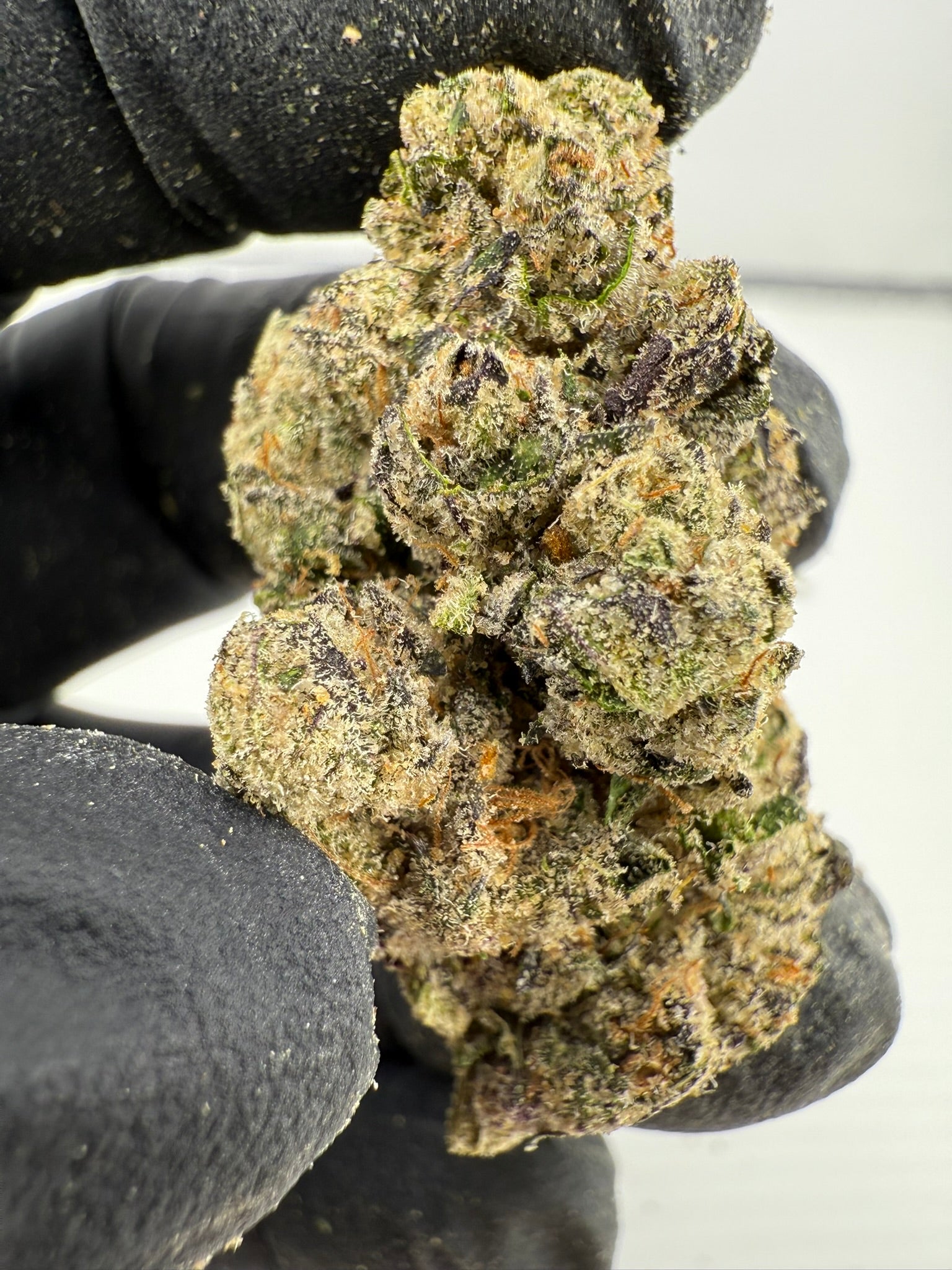 Gas Face - Damn Good | Legal Cannabis