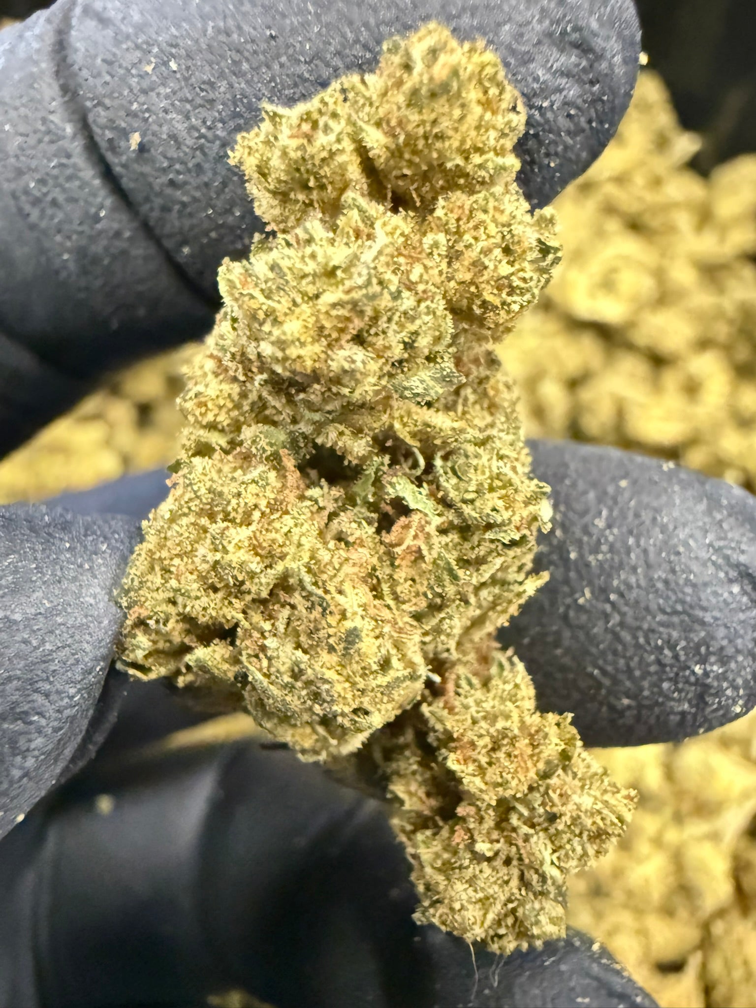LCG - Damn Good | Legal Cannabis