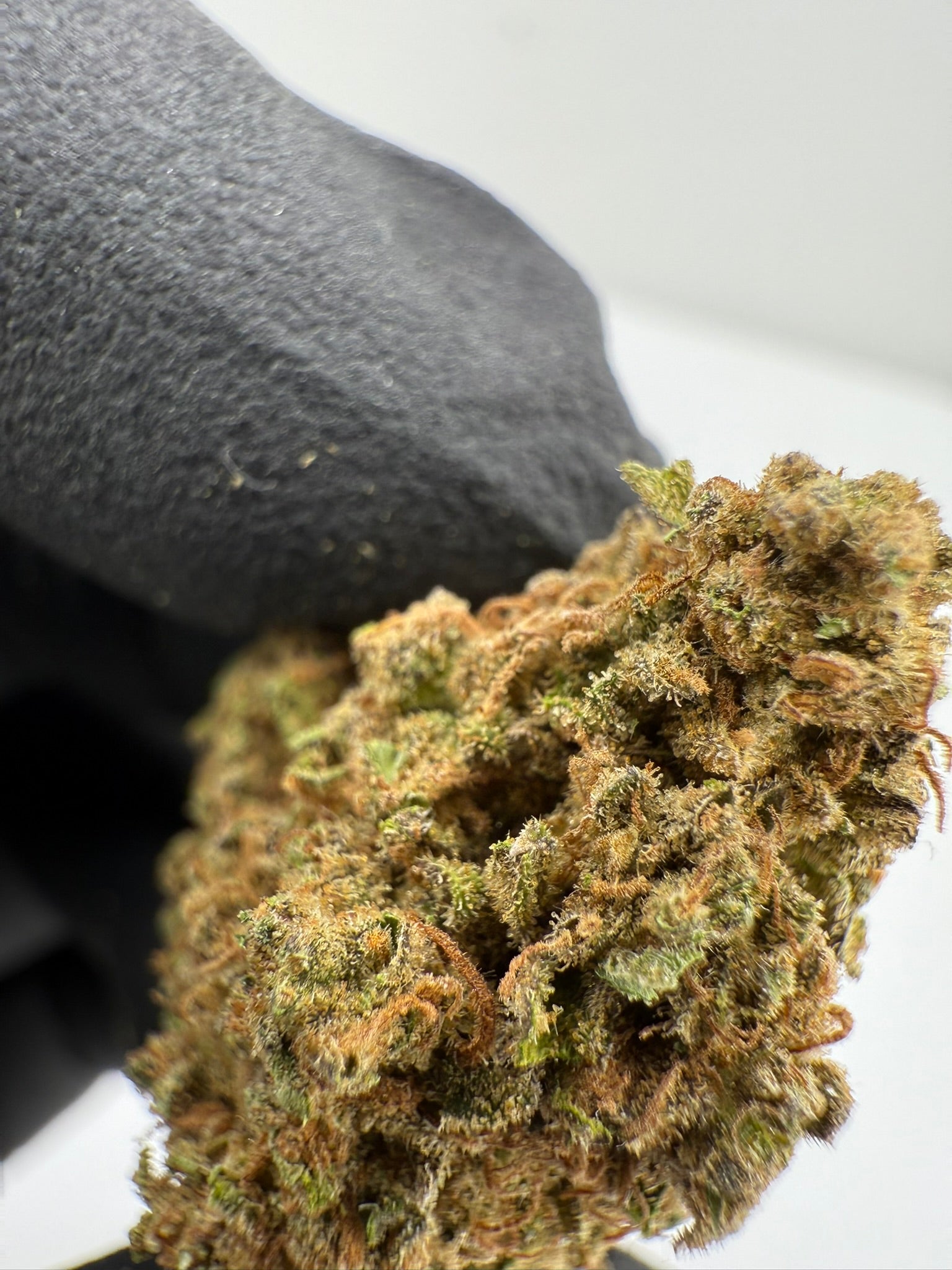 Mendo Breath - Damn Good | Legal Cannabis