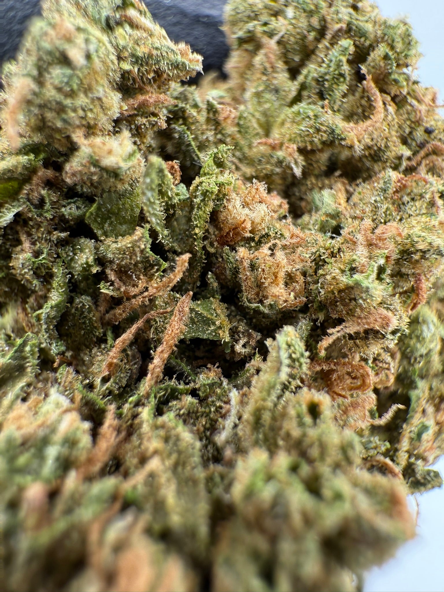 Face Fat - Damn Good | Legal Cannabis