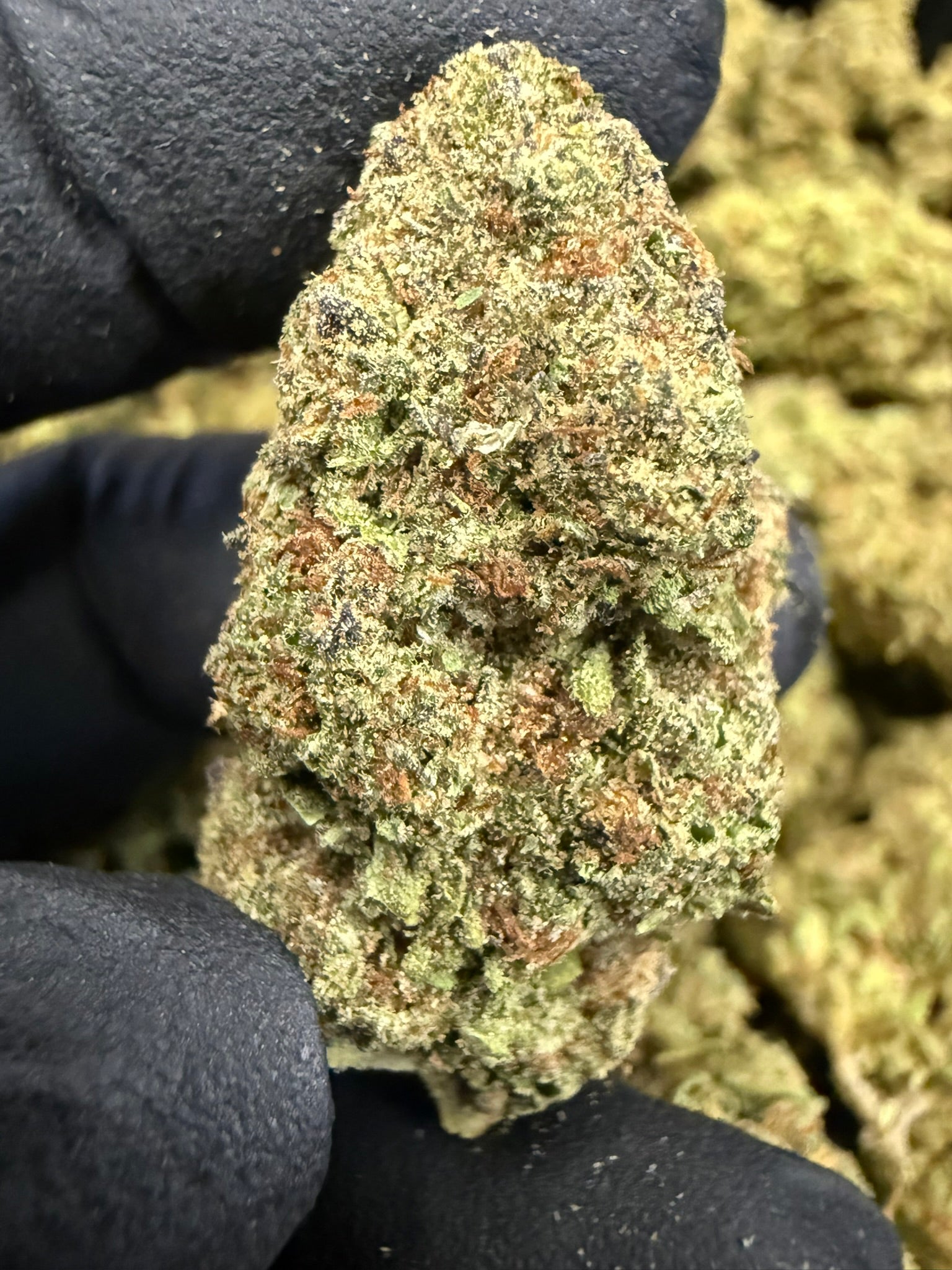 Cookies & Cream - Damn Good | Legal Cannabis