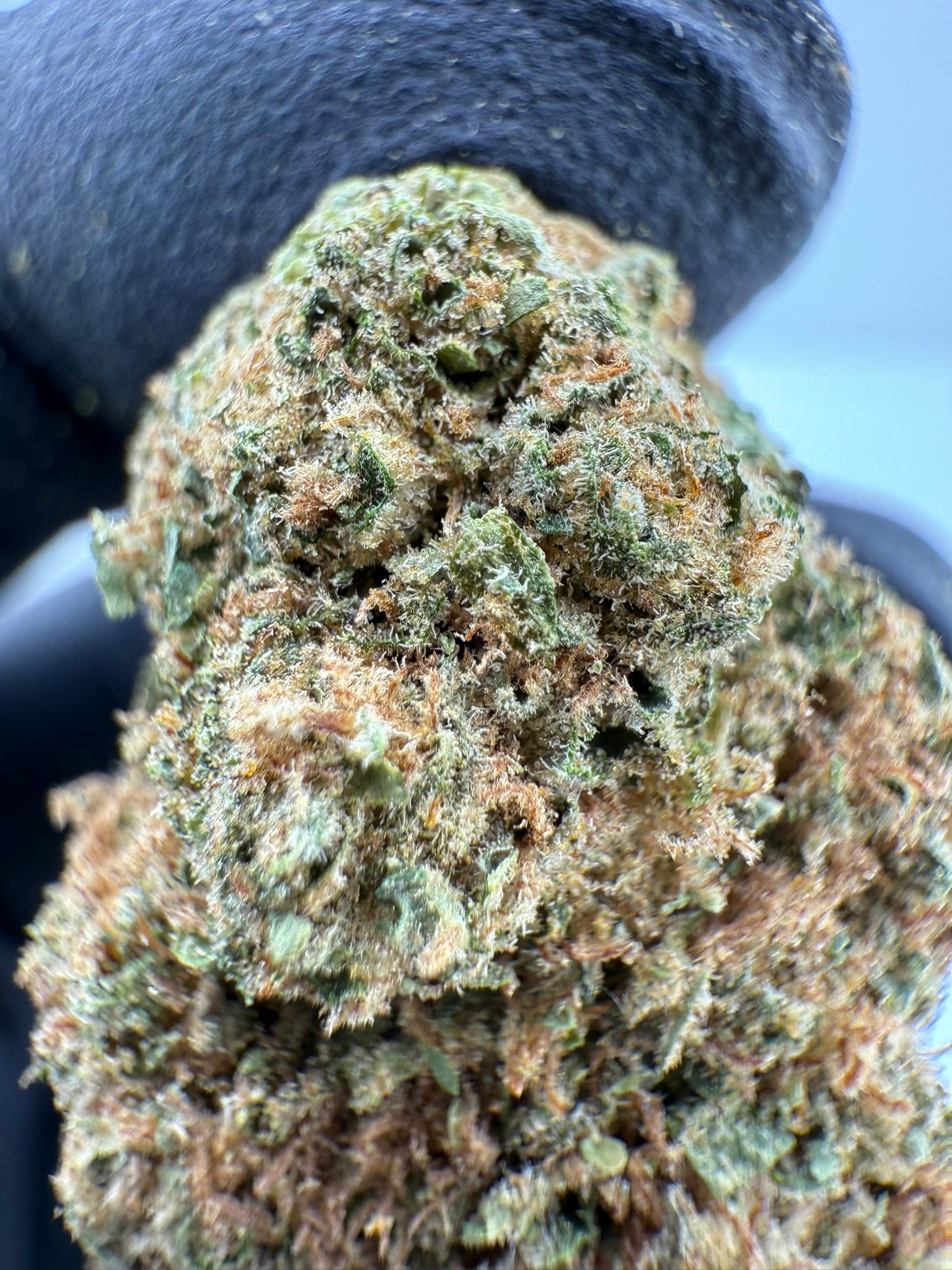 GMO - Damn Good | Legal Cannabis