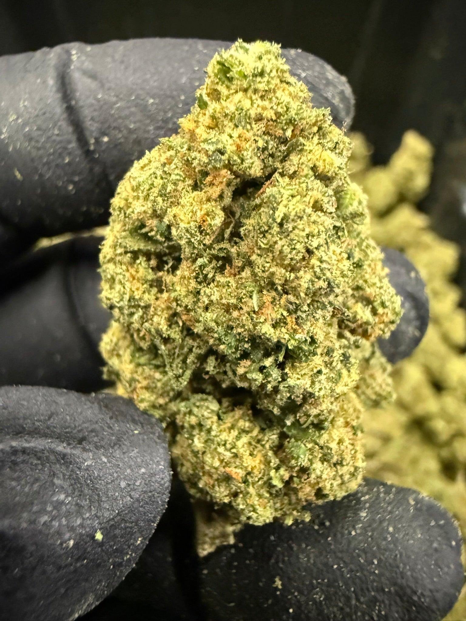 Hashburger - Damn Good | Legal Cannabis