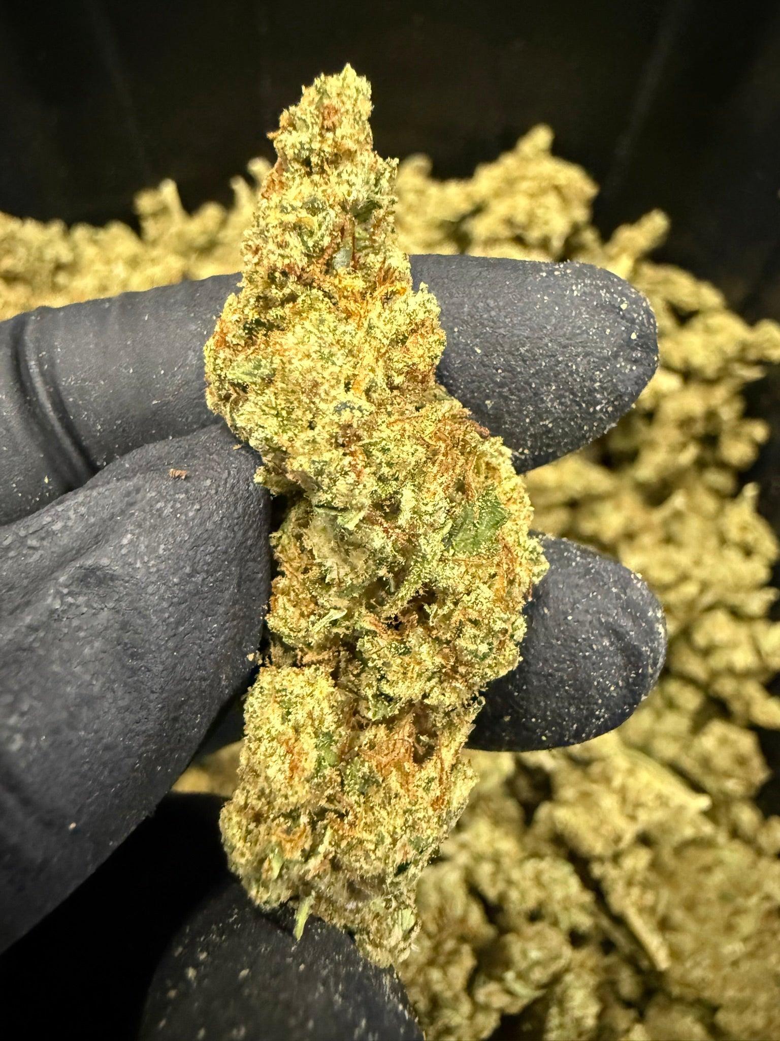 GG4 - Damn Good | Legal Cannabis