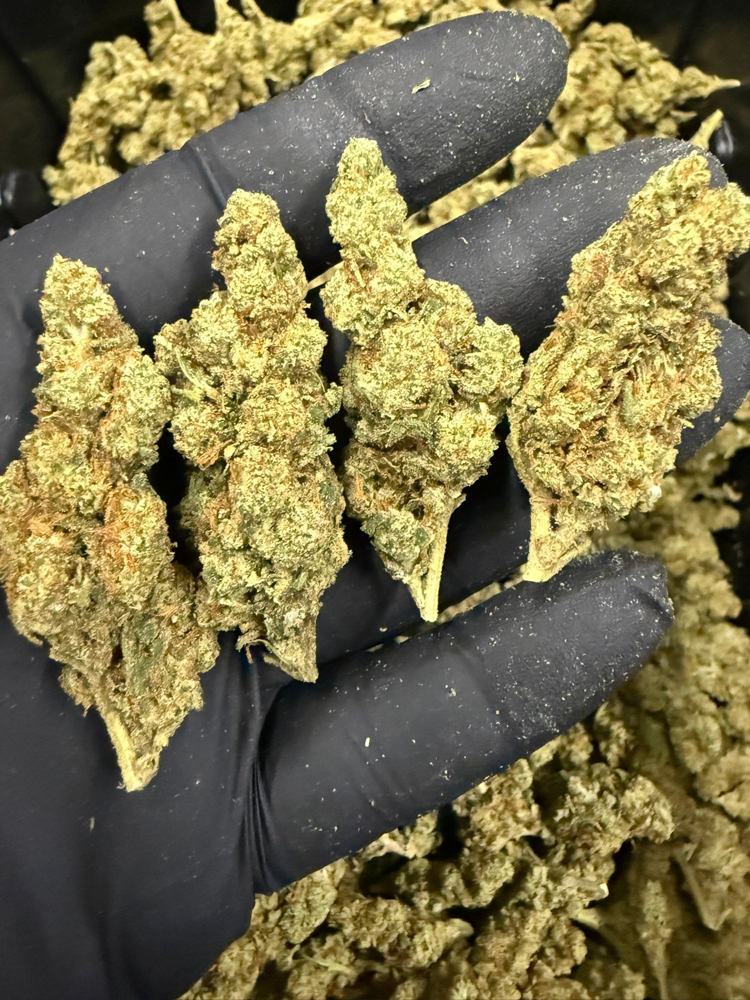 GG4 - Damn Good | Legal Cannabis