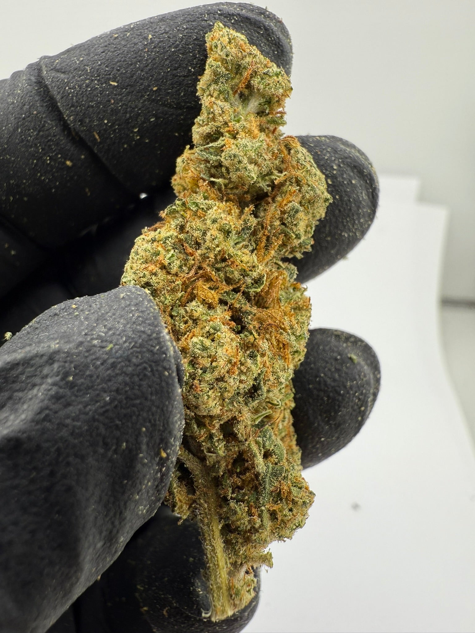 GG4 - Damn Good | Legal Cannabis