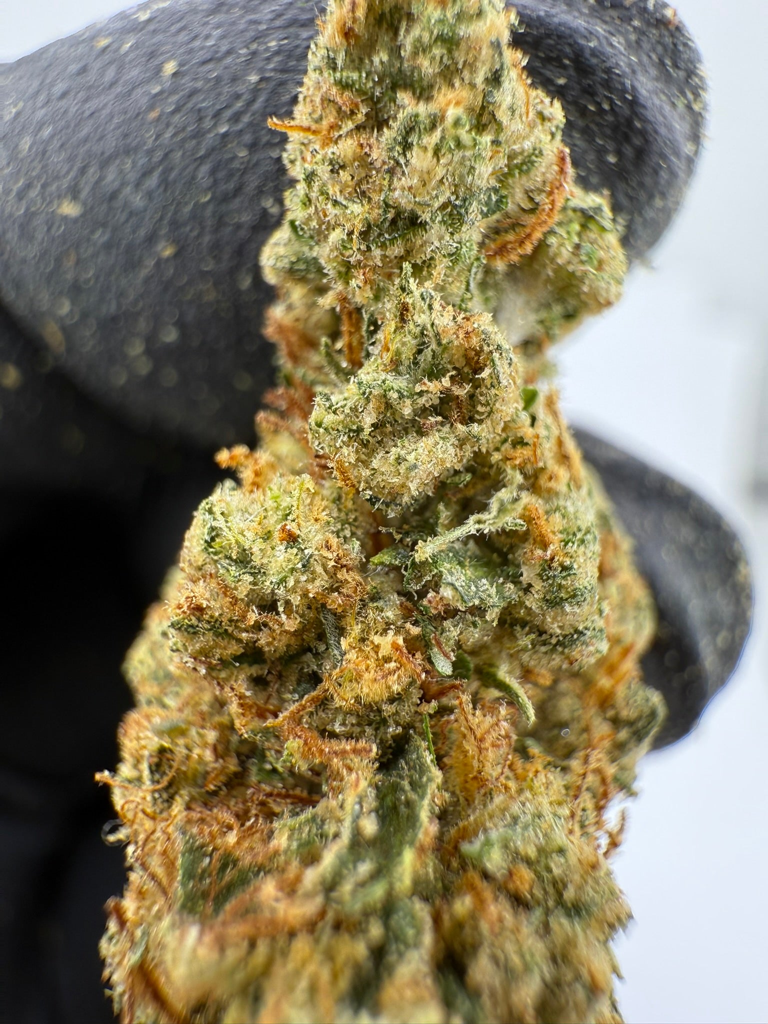 GG4 - Damn Good | Legal Cannabis