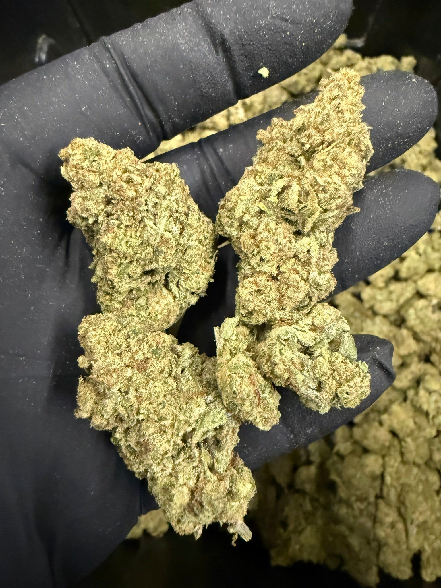 Mac - Damn Good | Legal Cannabis