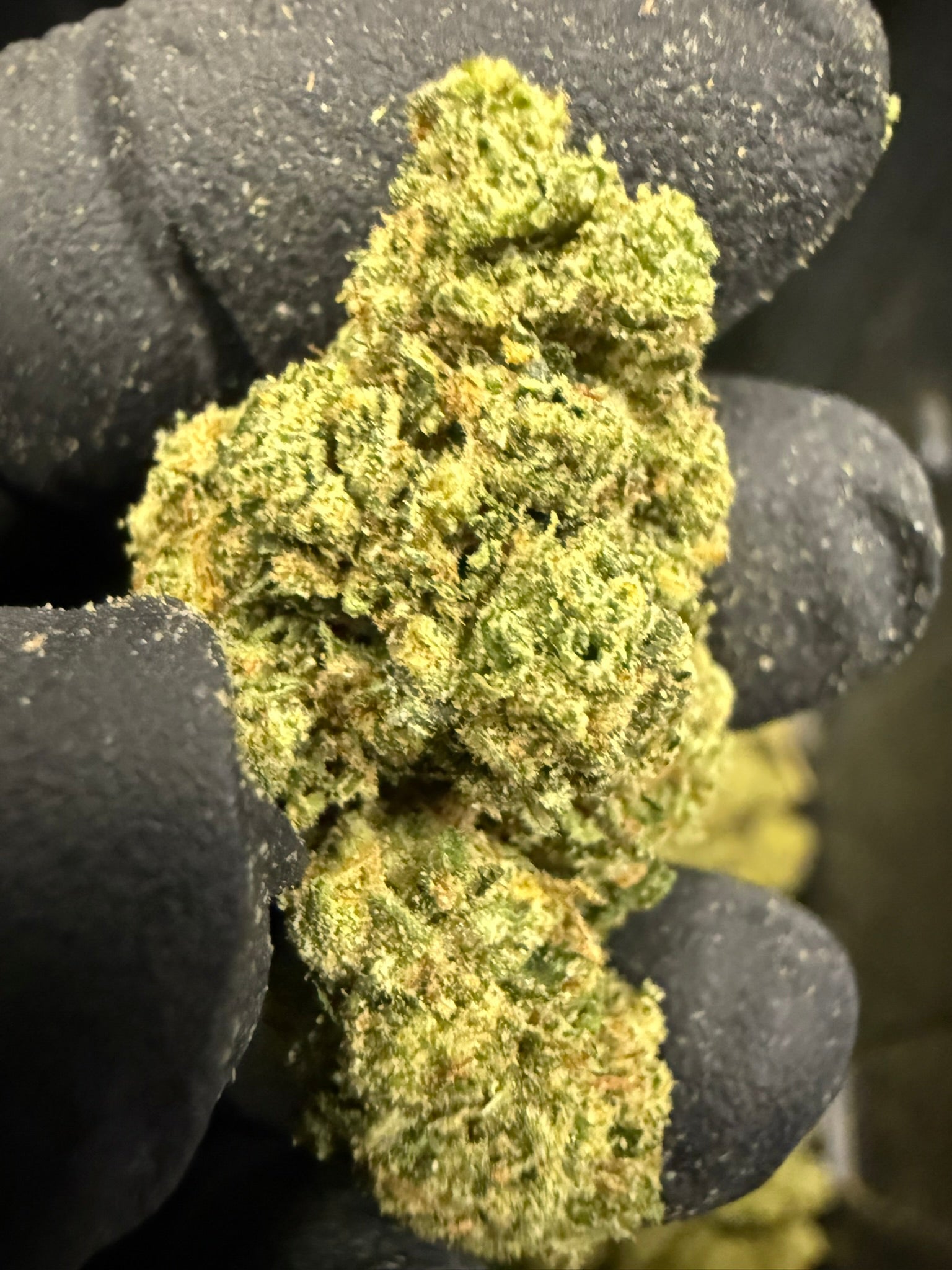 Poison Gushers Smalls