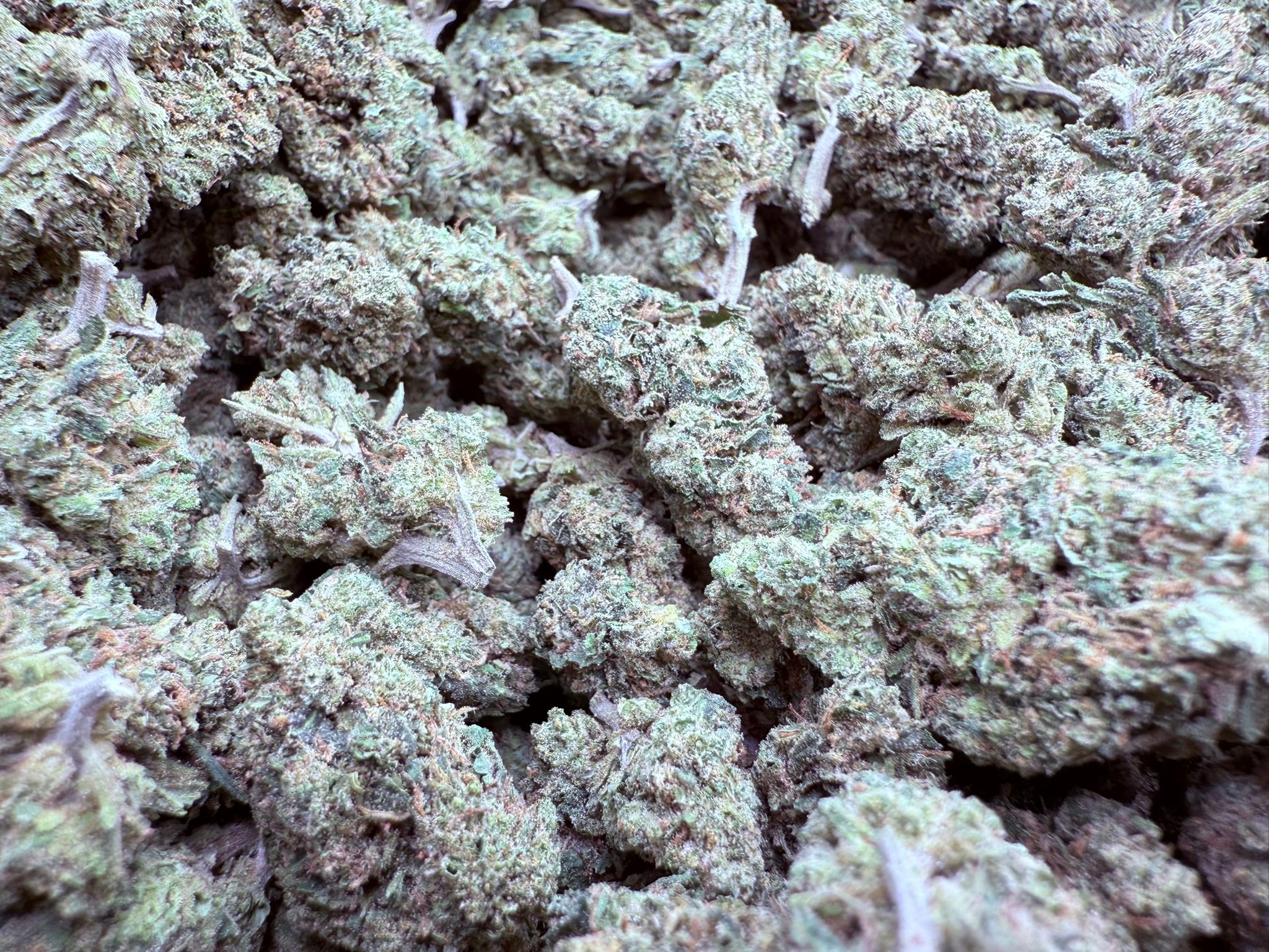 Banana Koolwhip - Damn Good | Legal Cannabis