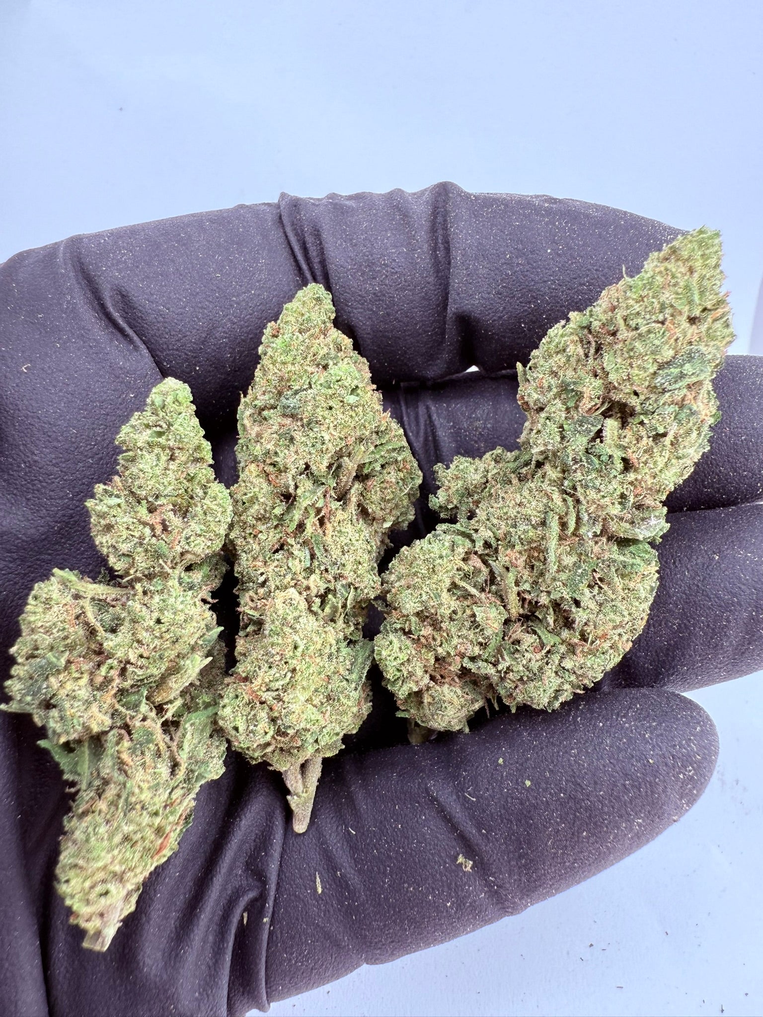 Banana Koolwhip - Damn Good | Legal Cannabis