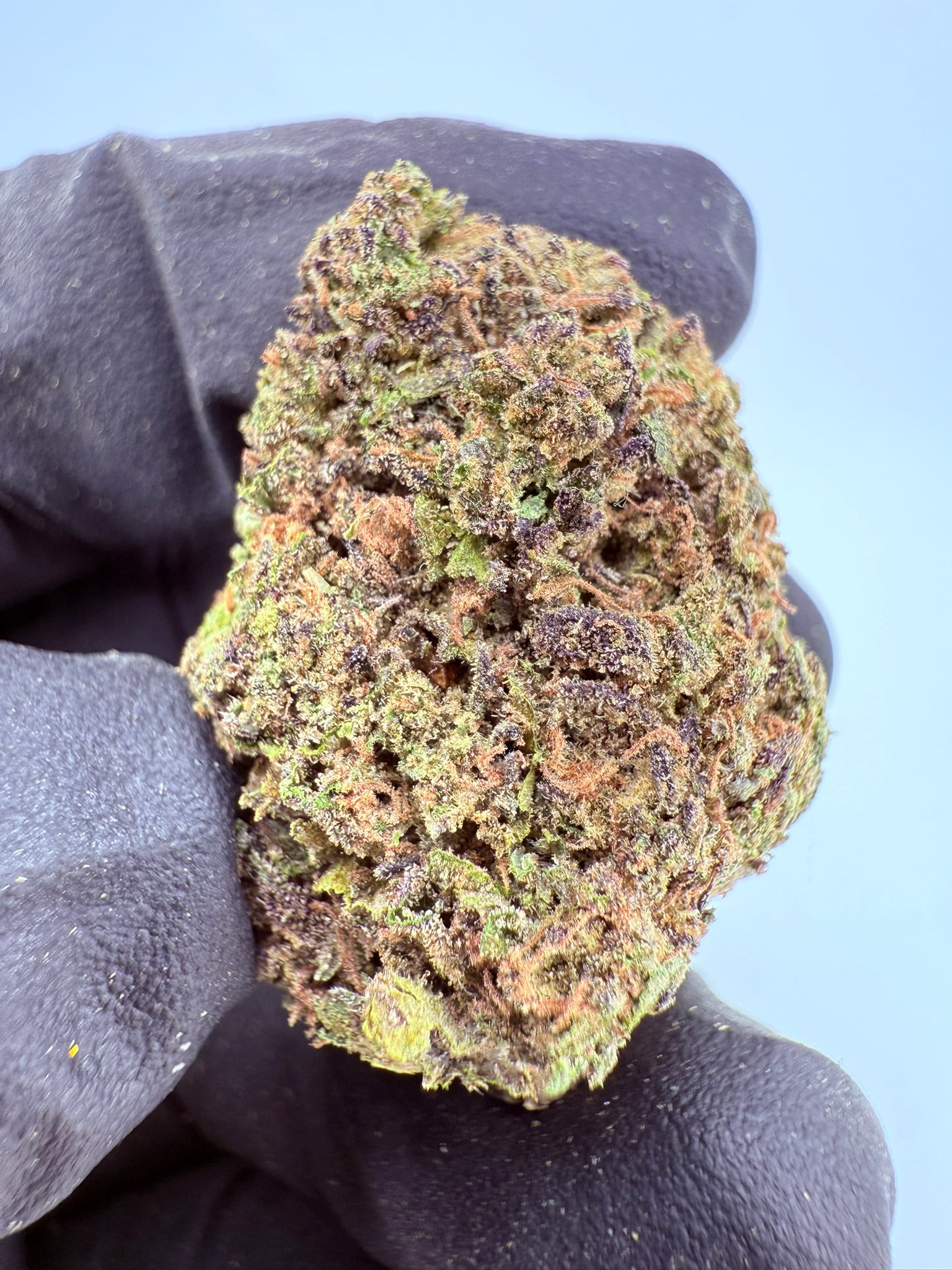 Lemon Cherry Sherbert