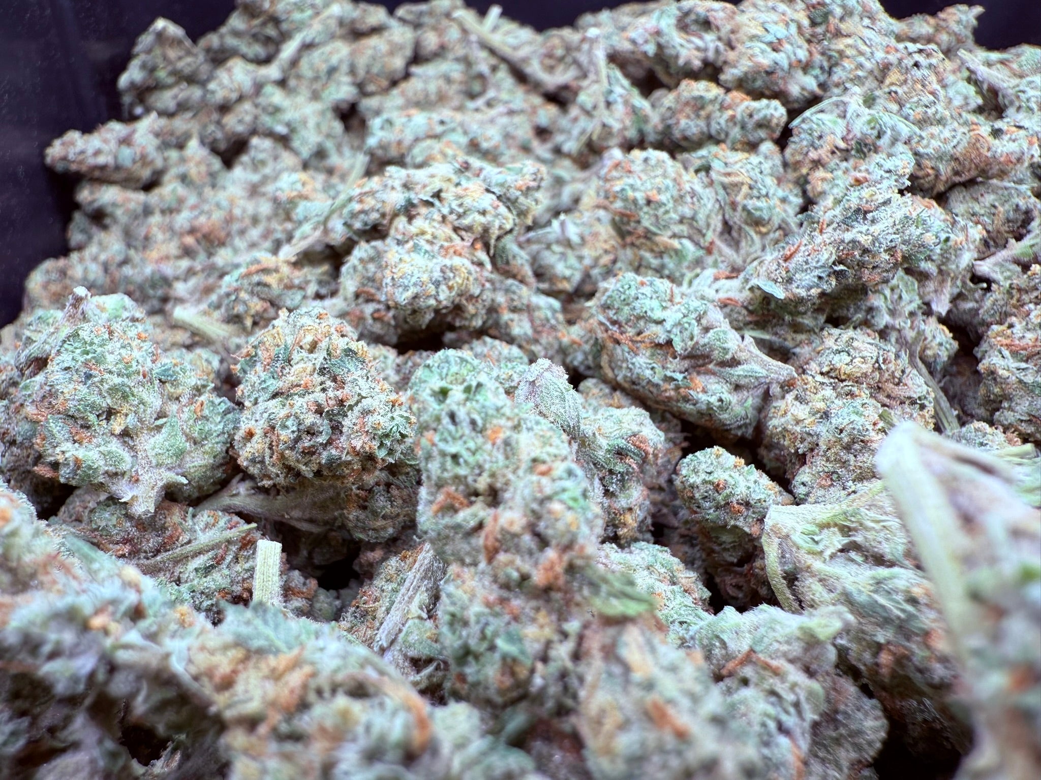 Moroccan Peaches - Damn Good | Legal Cannabis