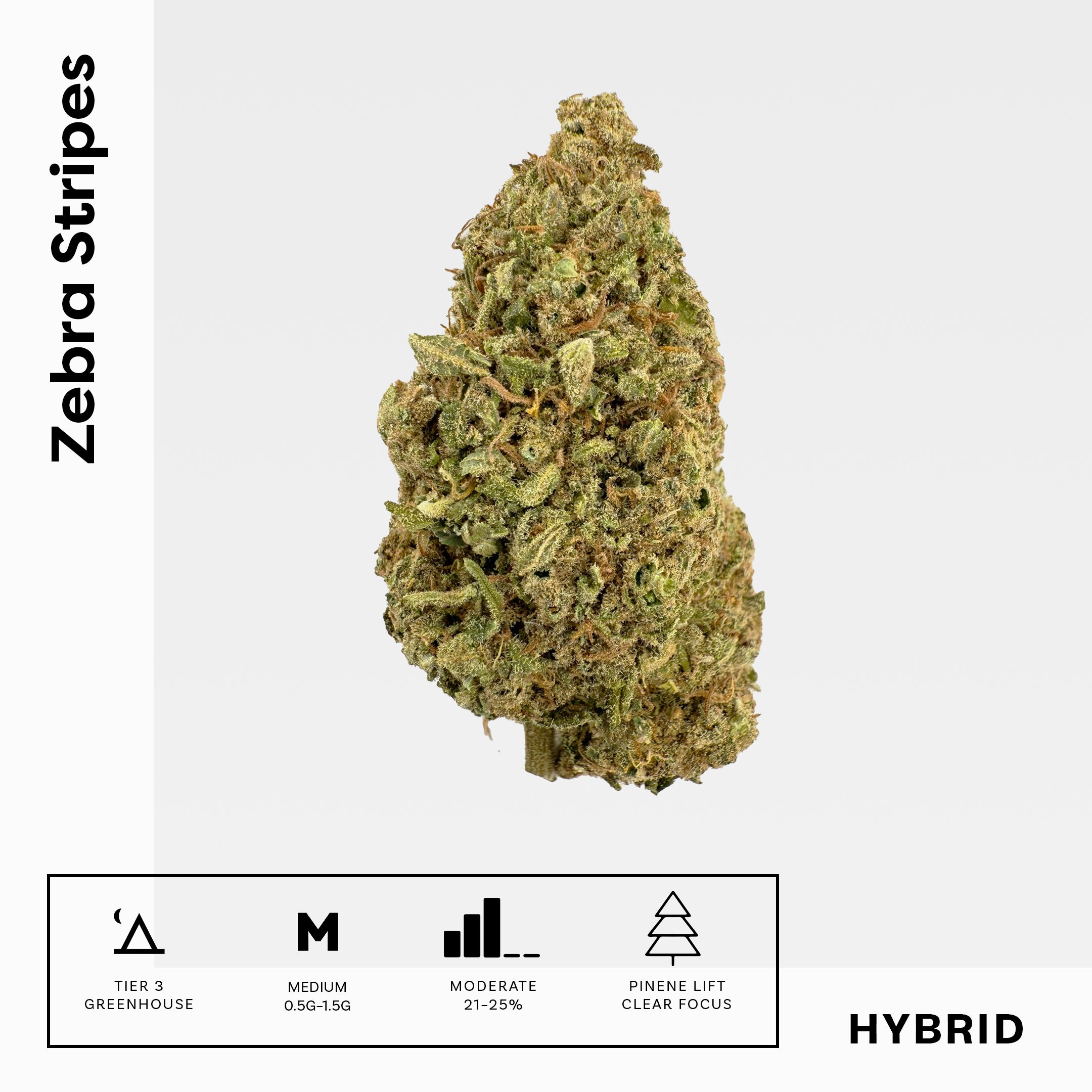 Zebra Stripes - Damn Good | Legal Cannabis