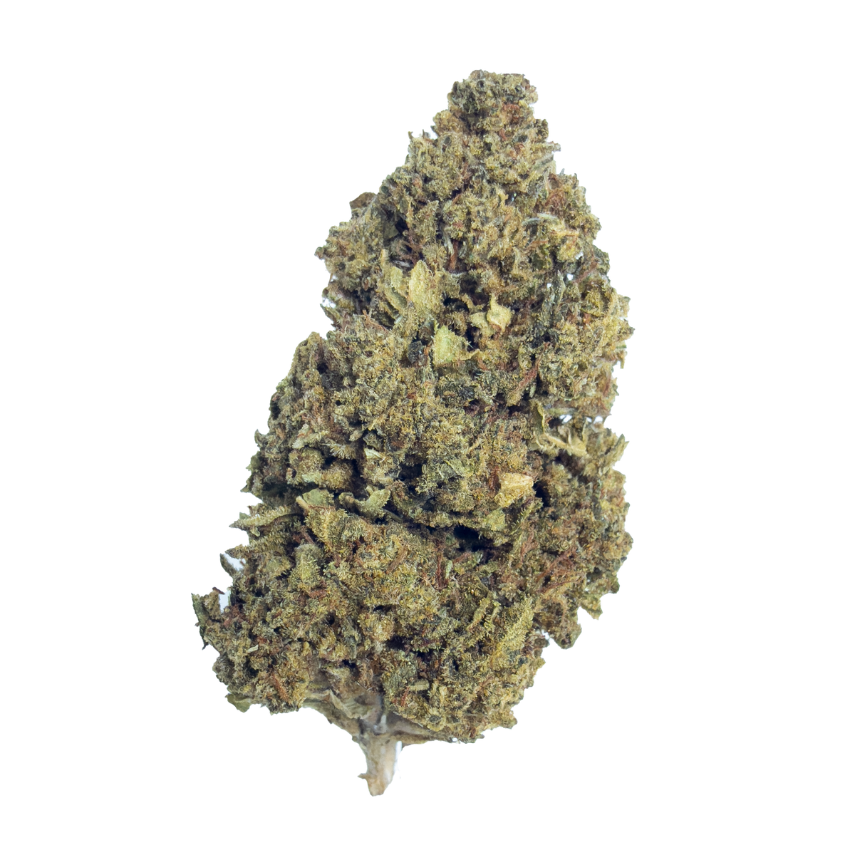 Banana Punch - Damn Good | Legal Cannabis