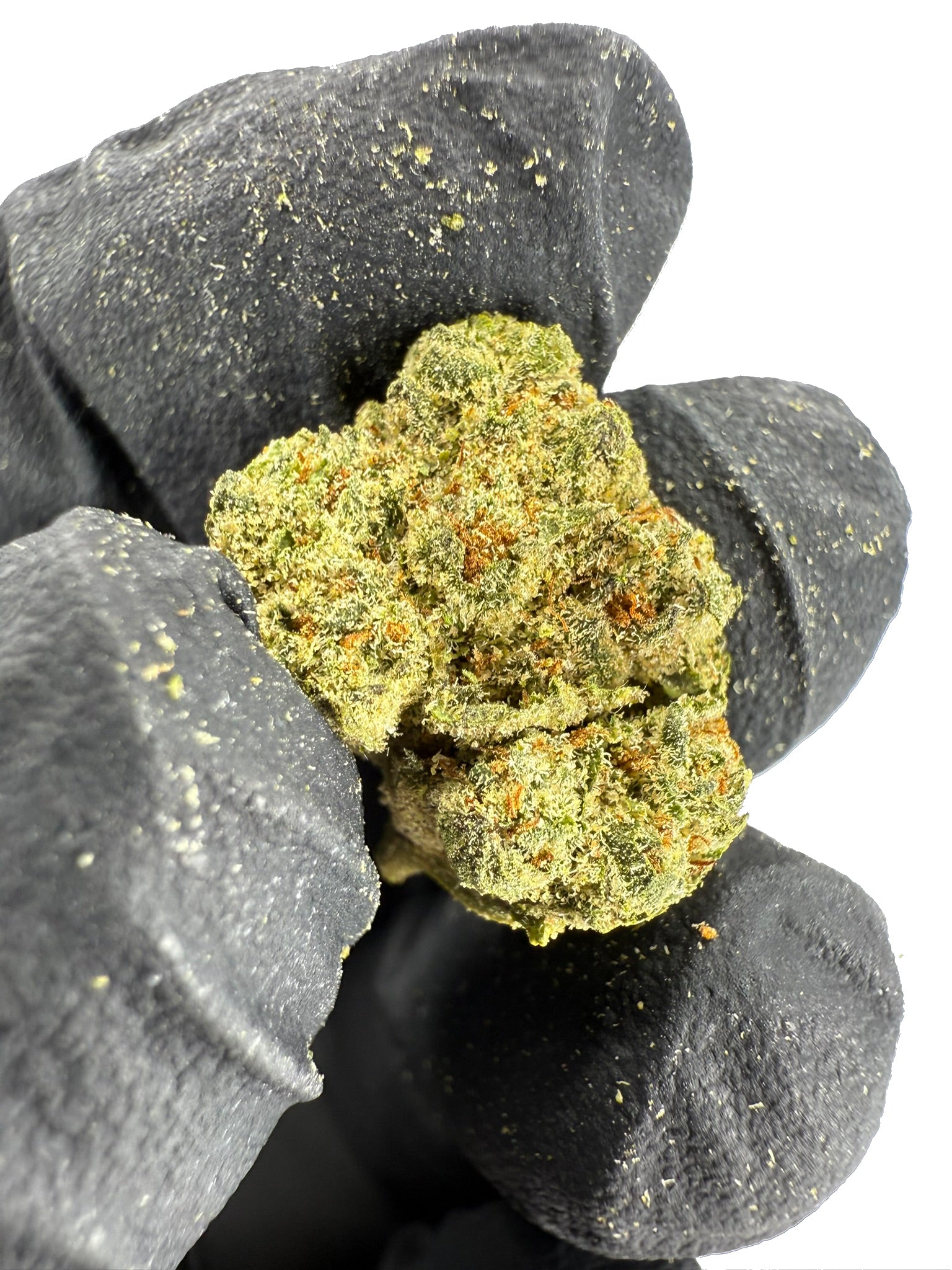 Black Blizzard Smalls - Damn Good | Legal Cannabis