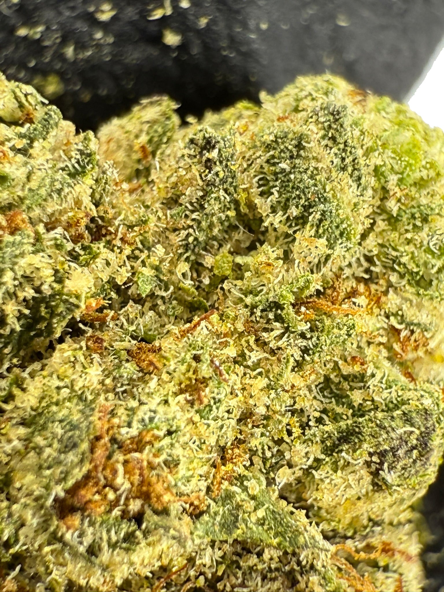 Black Blizzard Smalls - Damn Good | Legal Cannabis